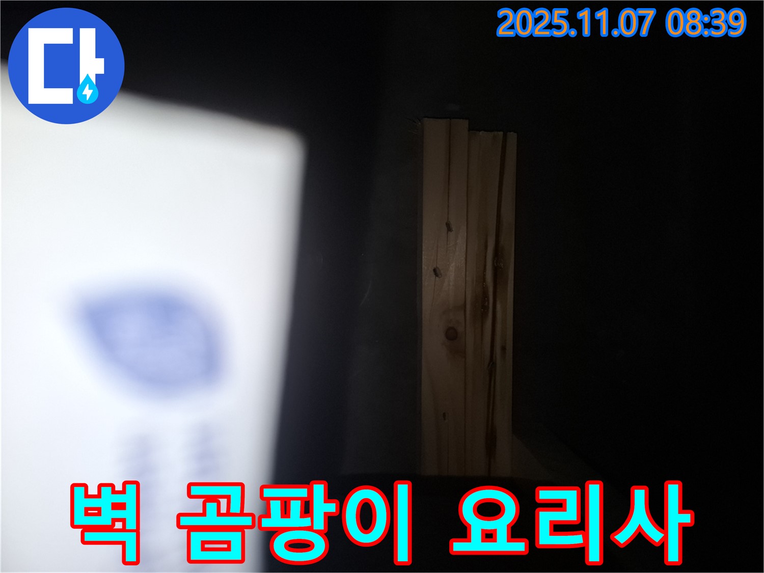 수원 팔달구 신풍동 누수 - 나무 벽에 곰팡이 요리사가 나타났다면 건물 전체에 곰팡이 레스토랑이 개업할지도 모릅니다!