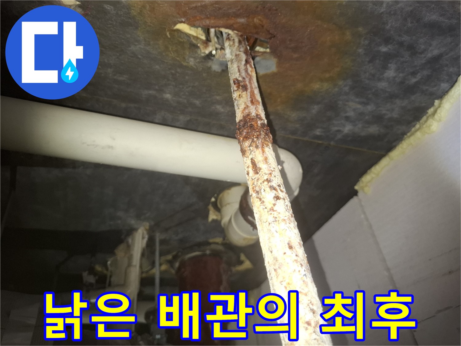 수원 팔달구 신풍동 누수 현장에서 낡은 배관의 최후를 보여줍니다 - 새 배관으로 교체하여 누수 문제를 해결했습니다.