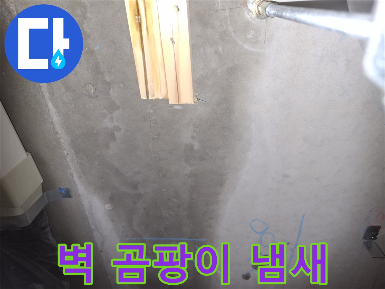 콘크리트 벽 누수 - 곰팡이 냄새 확인