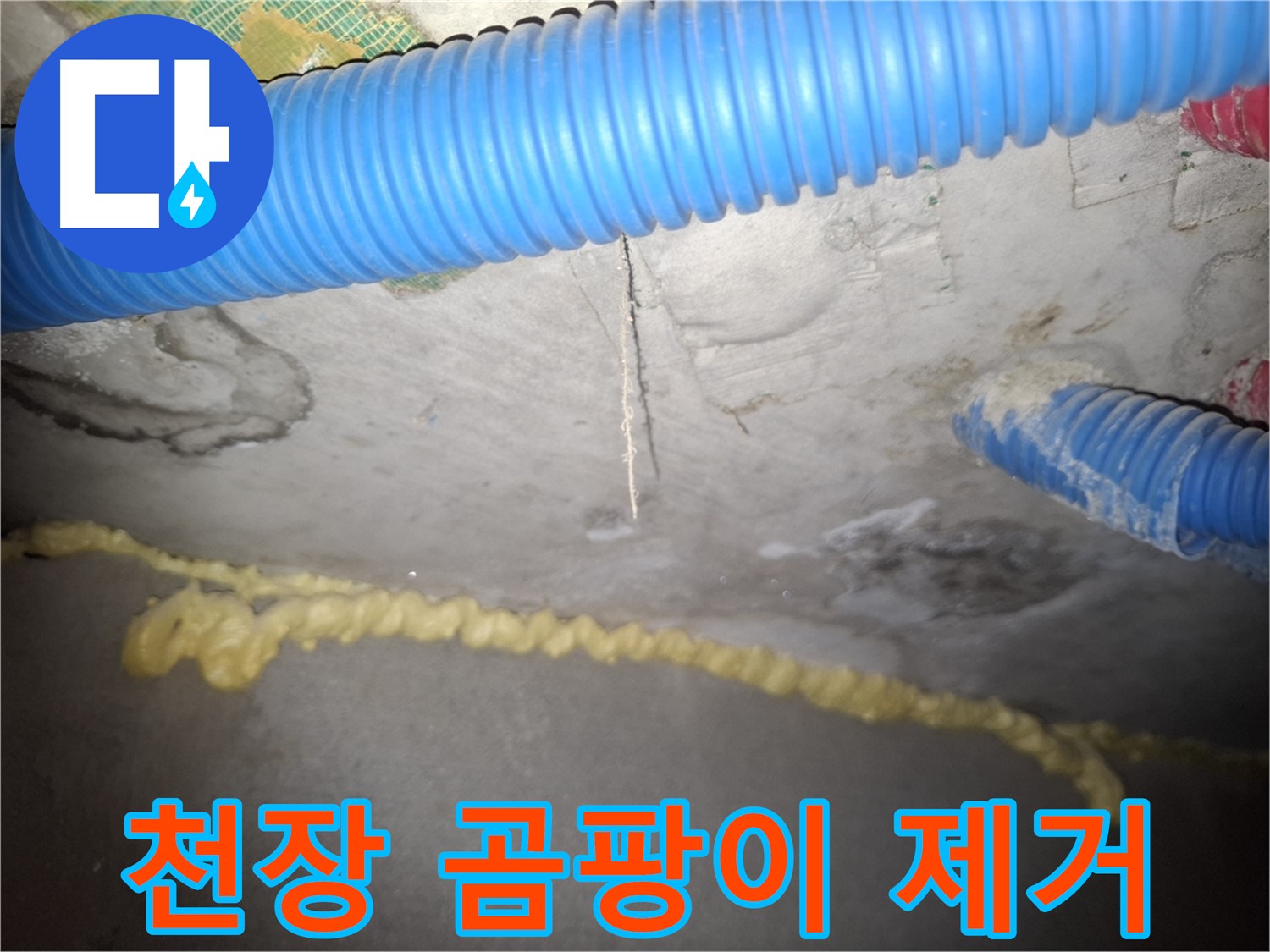 콘크리트 천장 곰팡이 제거 - 쾌적한 환경 - 수원 팔달구 신풍동 누수