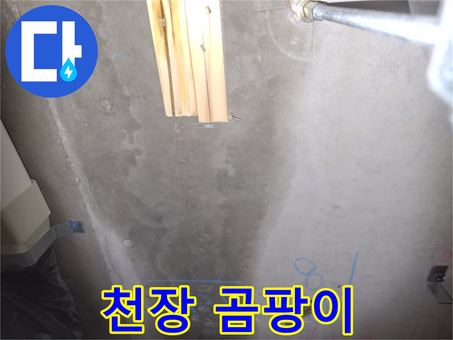 콘크리트 천장 누수 - 곰팡이 발견