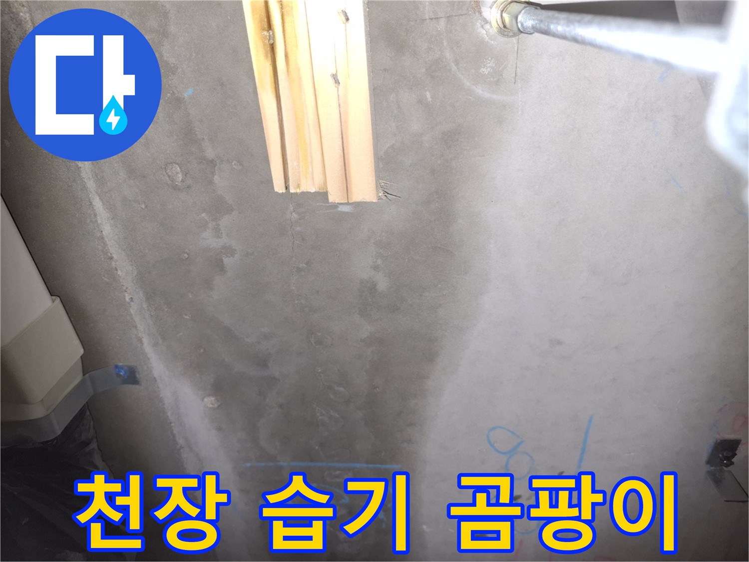 콘크리트 천장 누수 - 습기와 곰팡이, 건강 위협