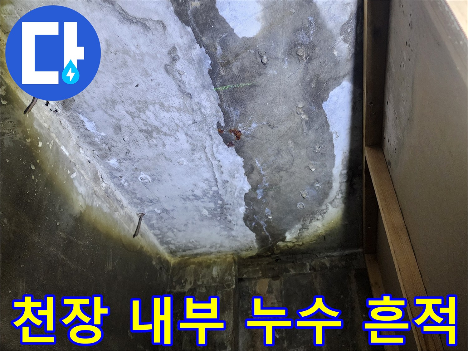 누수가 진행된 천장 - 물자국이 넓게 퍼진 콘크리트 면
