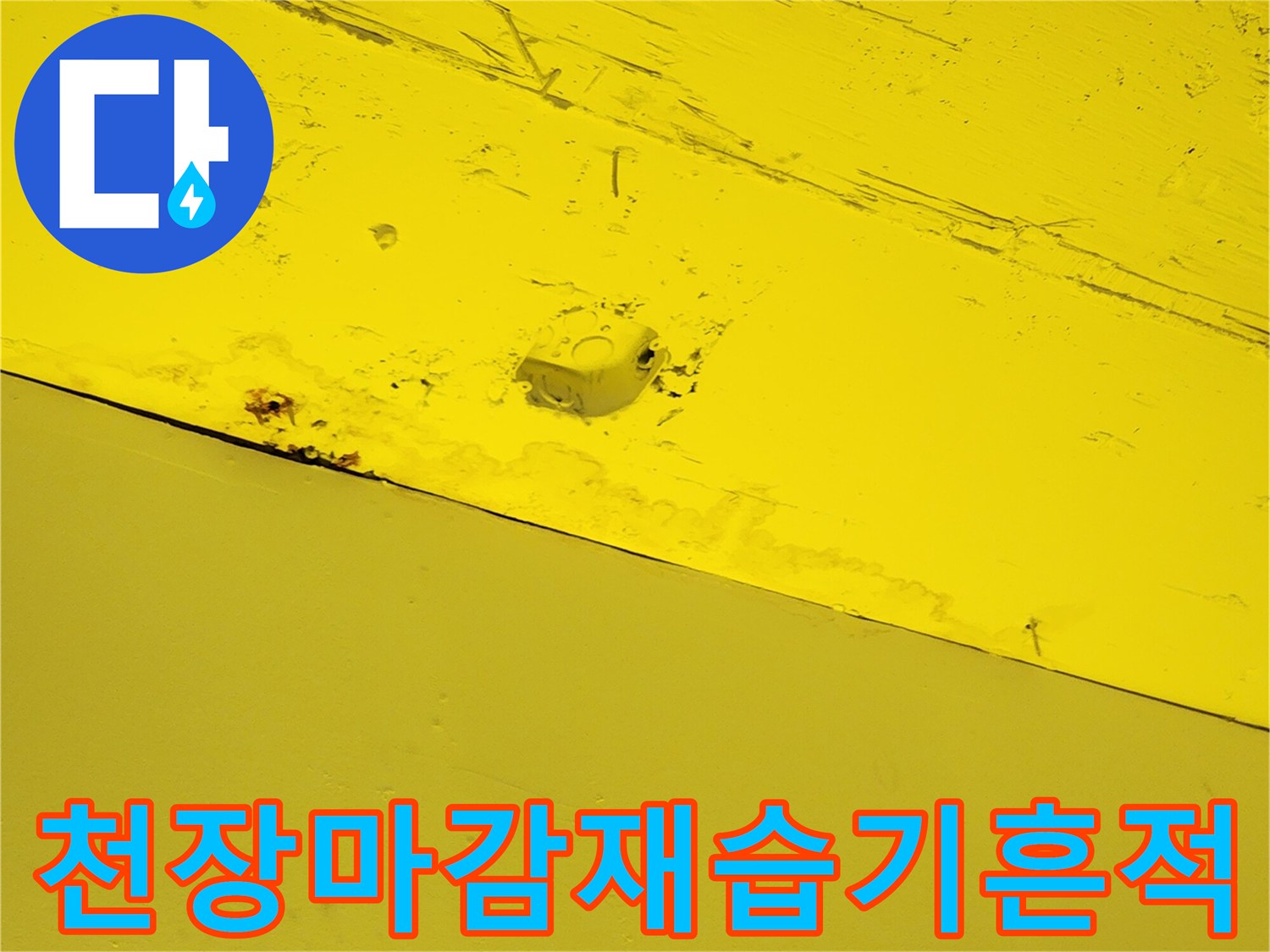 노란색-천장-패널-상단-부분적인-습기-및-변색