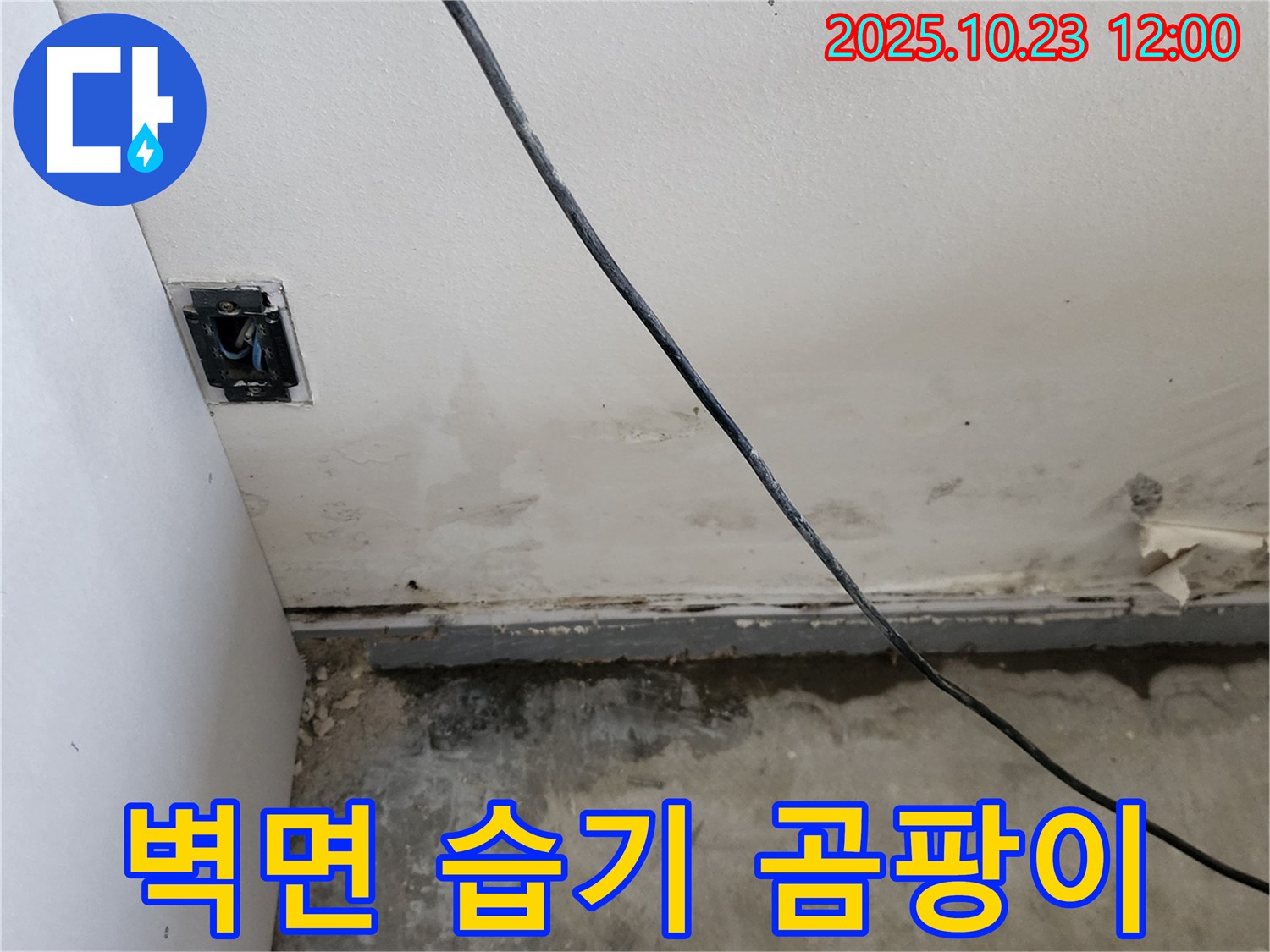양주시 은현면 하패리 주택 벽면 습기, 곰팡이 - 발생 원인 분석
