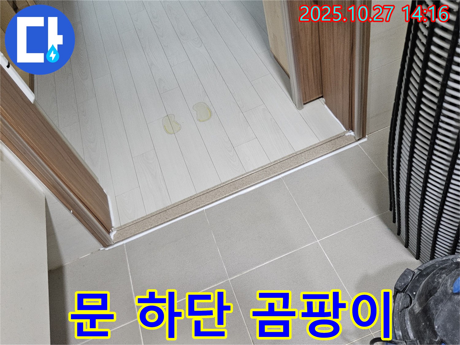 고양시 덕양구 문 하단 곰팡이 - 누수 진단 후 곰팡이 제거 전문
