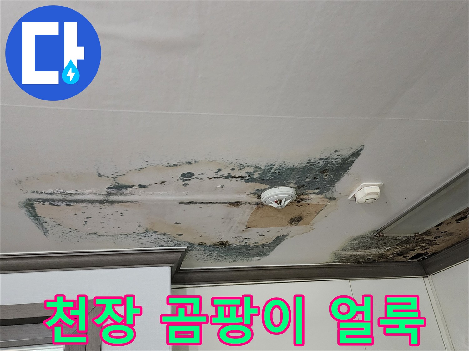 양주 현장-천장 실크벽지에 발생한 검은 곰팡이와 습기 흔적