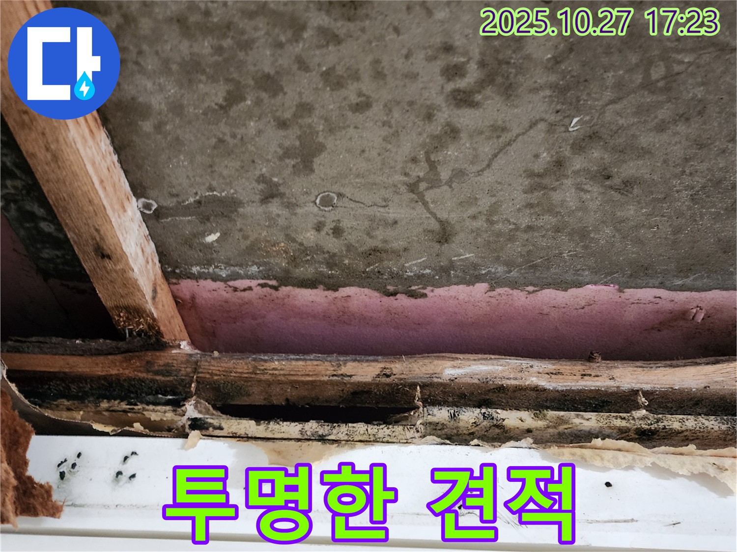 양주시 회천2동 누수 - 투명한 견적과 책임감 있는 시공 과정을 보여줍니다.