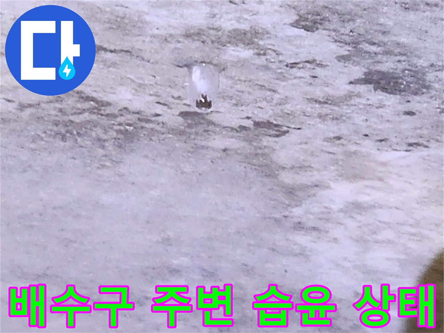 물기가 머금어진 화장실 배수구 주변 타일