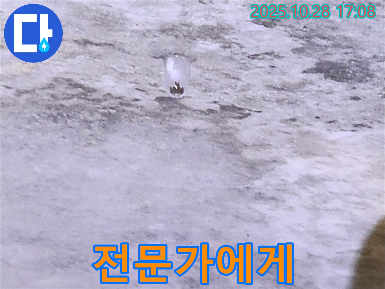 양주 유양동 누수 - 배관 물방울 - 누수 전문가에게 맡기세요
