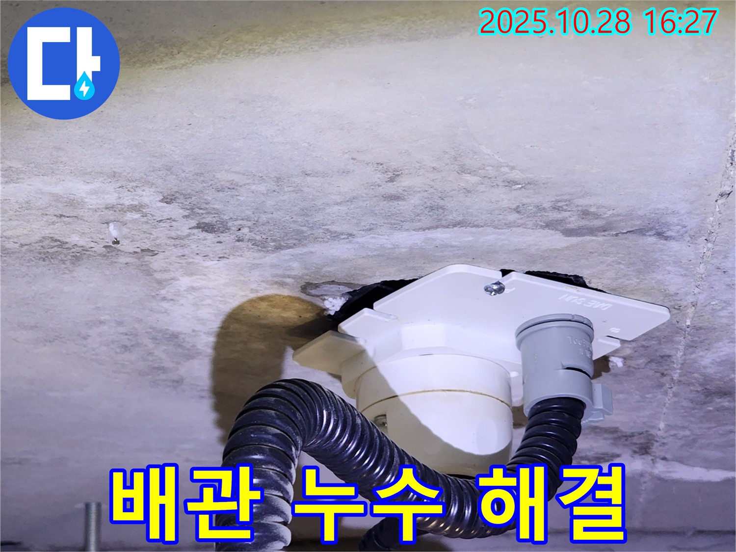 양주시 유양동 배관 누수 - 노후된 배관에서 발생한 누수를 정확하게 진단하고, 새로운 배관으로 교체하여 누수 문제를 해결했습니다.