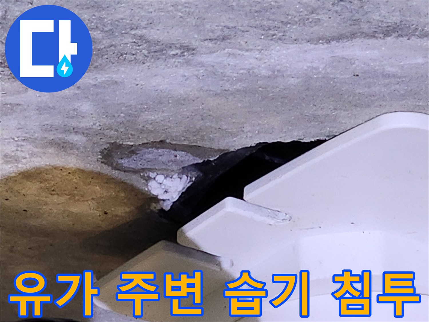 화장실 배수구 유가 근처의 콘크리트 젖음 현상 - 누수 원인 파악