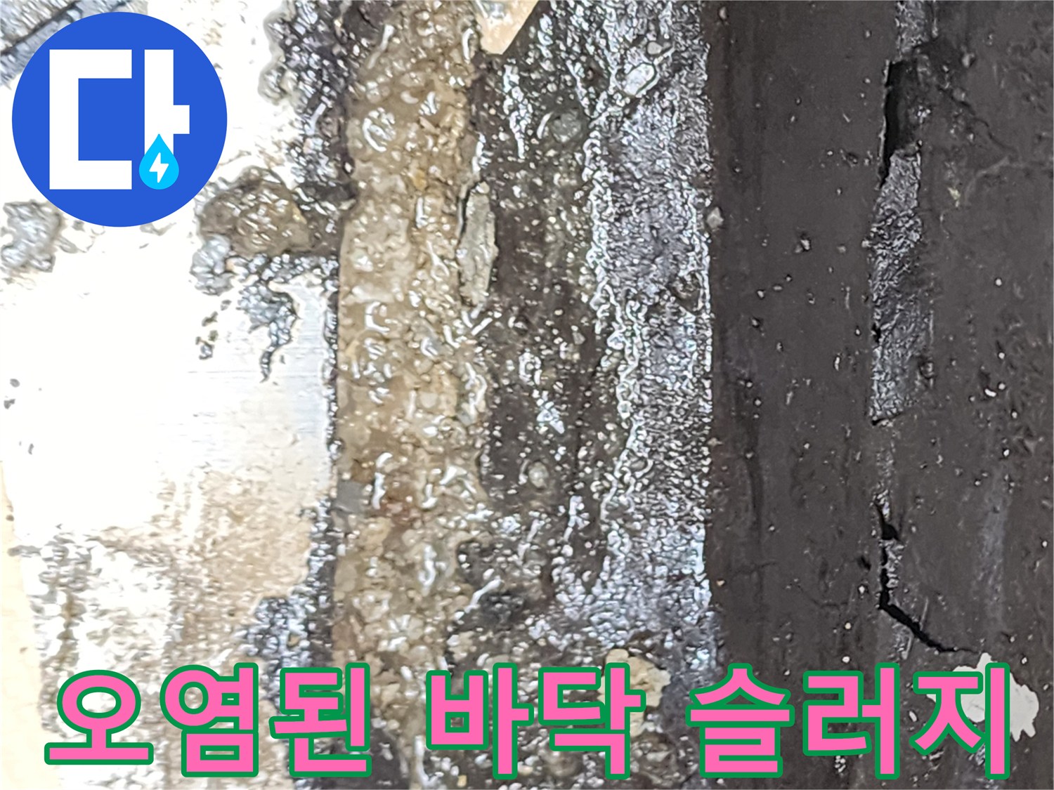 배수구 주변 - 물과 이물질이 섞여 형성된 오염된 슬러지 상태