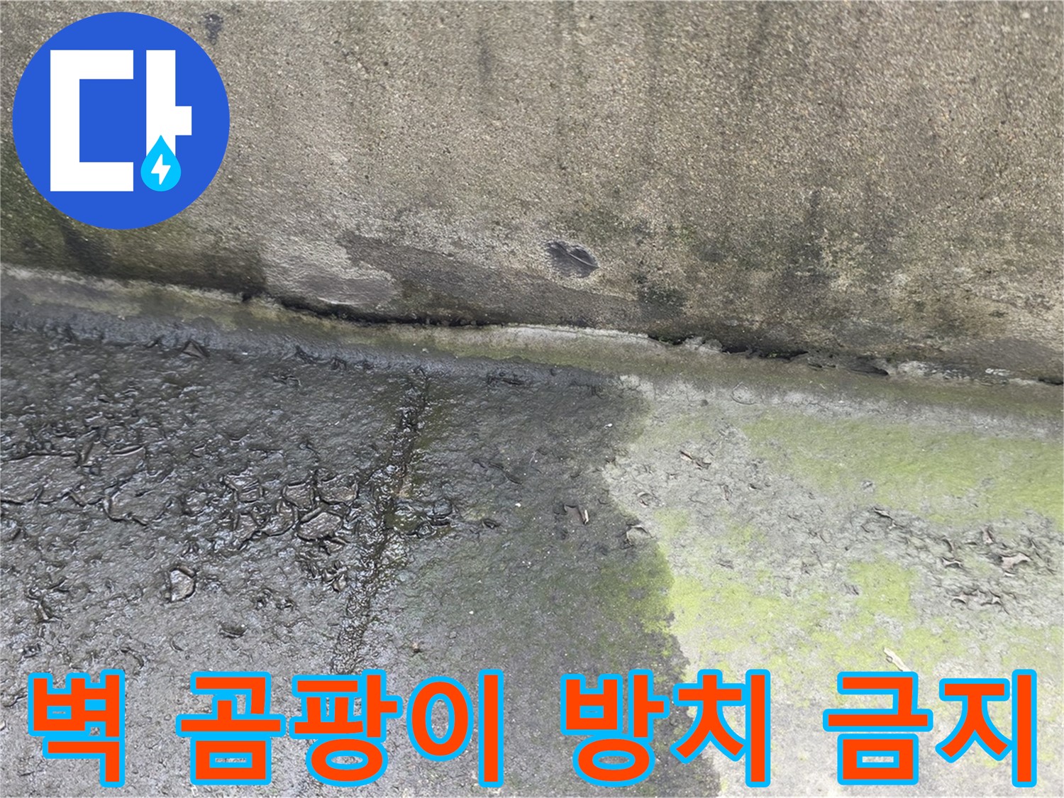 건물 벽 곰팡이 누수 방치 시 위험 경고