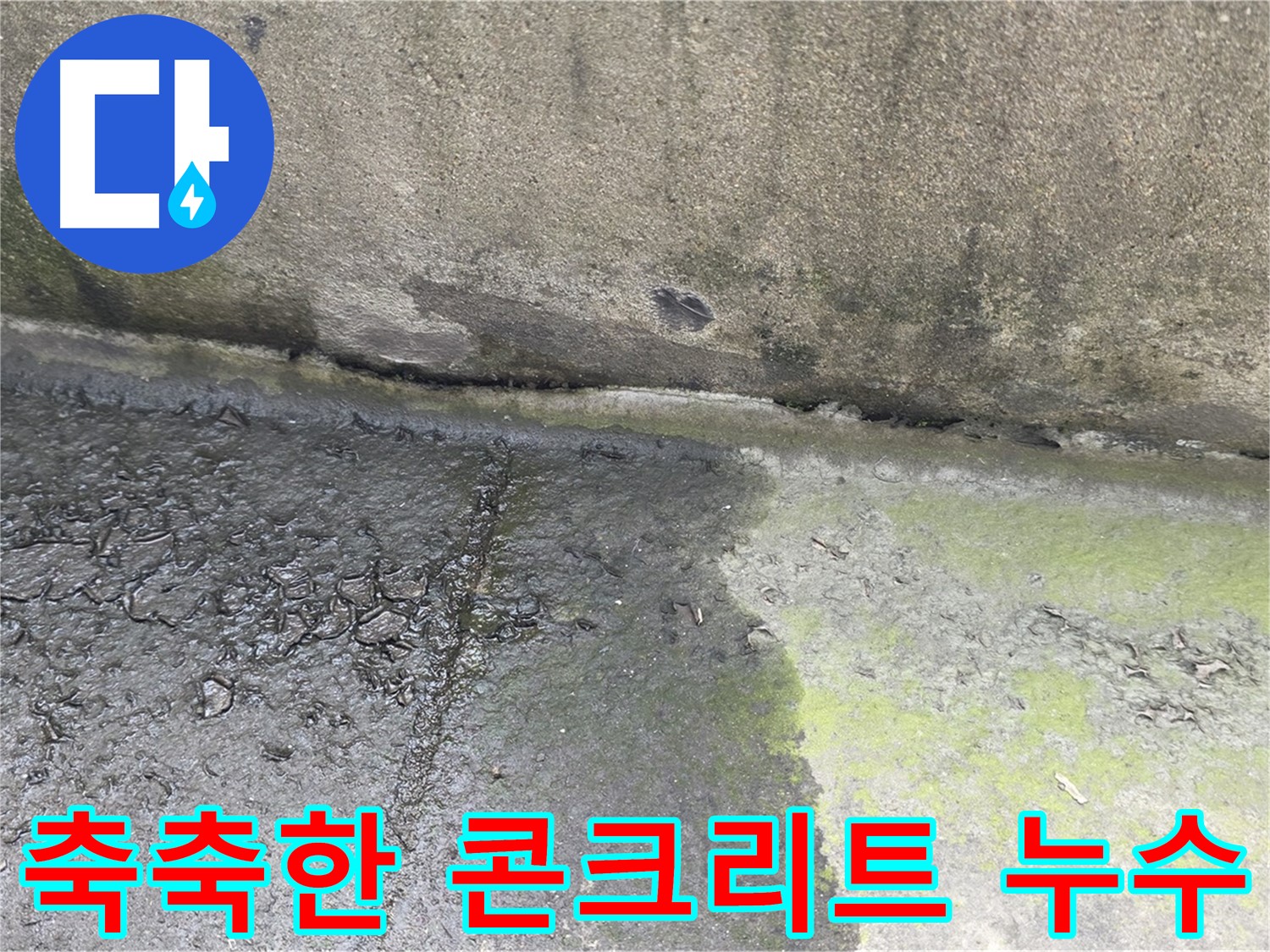 구리시 딸기원 건물 축축한 콘크리트 - 땅속 누수 의심