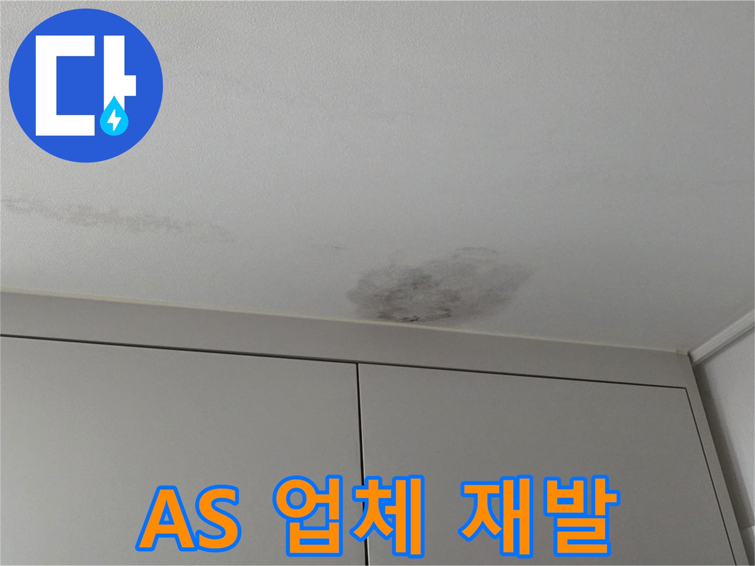 구리시 딸기원 누수 - A/S 확실한 업체, 재발 걱정 NO