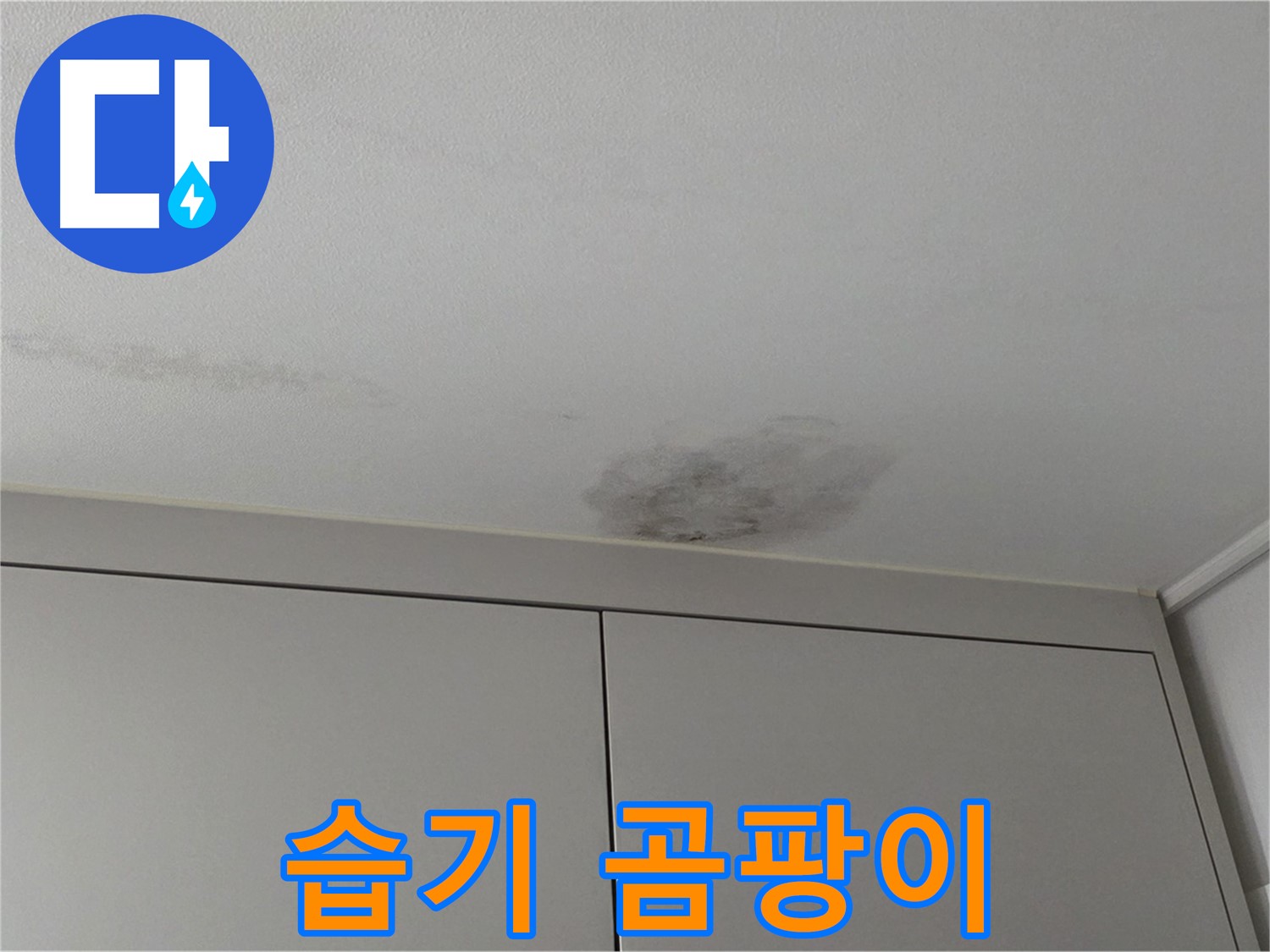 구리시 딸기원중문길 누수 - 천장 습기 곰팡이 초기 긴급 진단