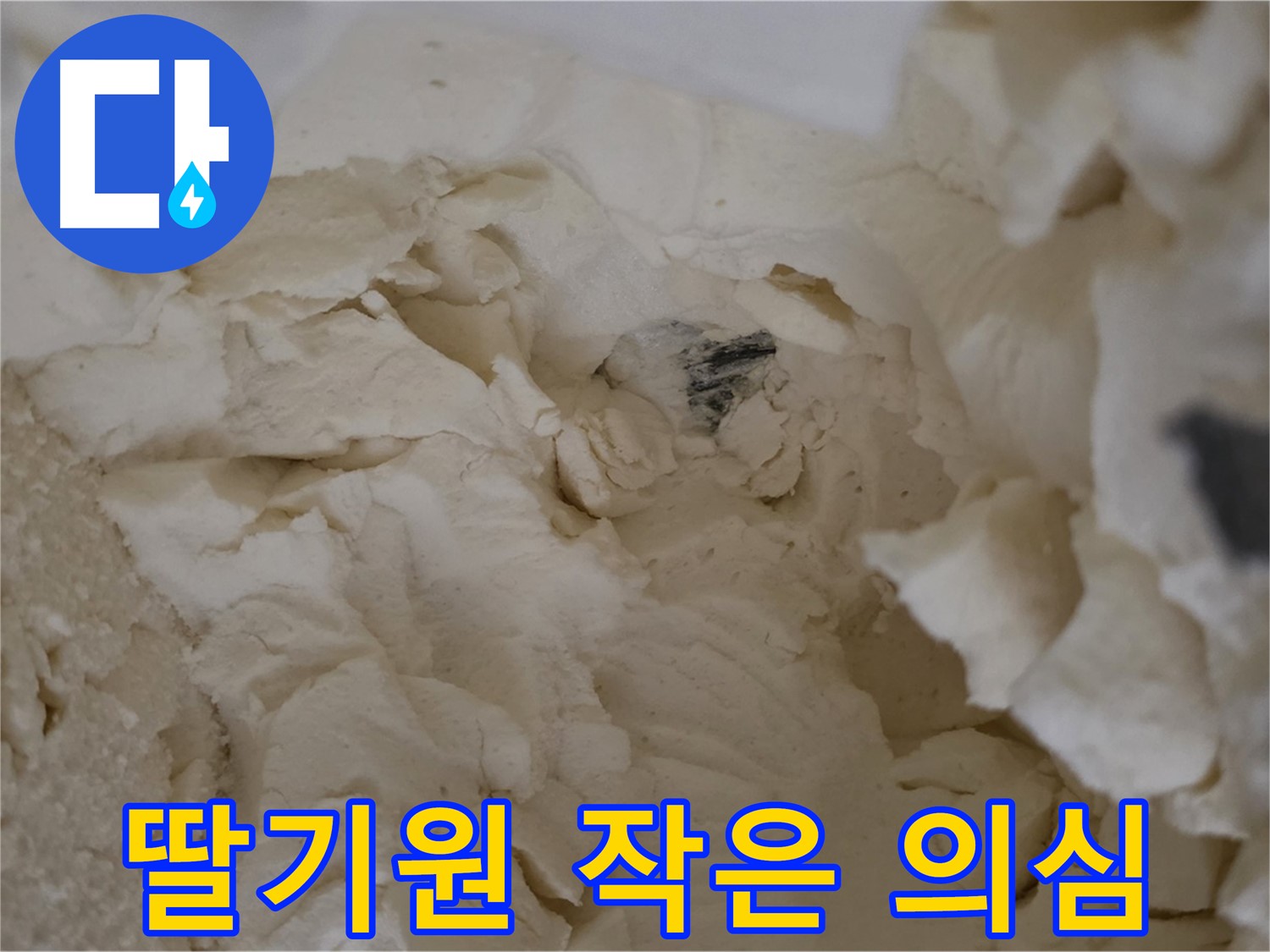 딸기원 누수 - 작은 의심에서 시작되는 완벽한 해결