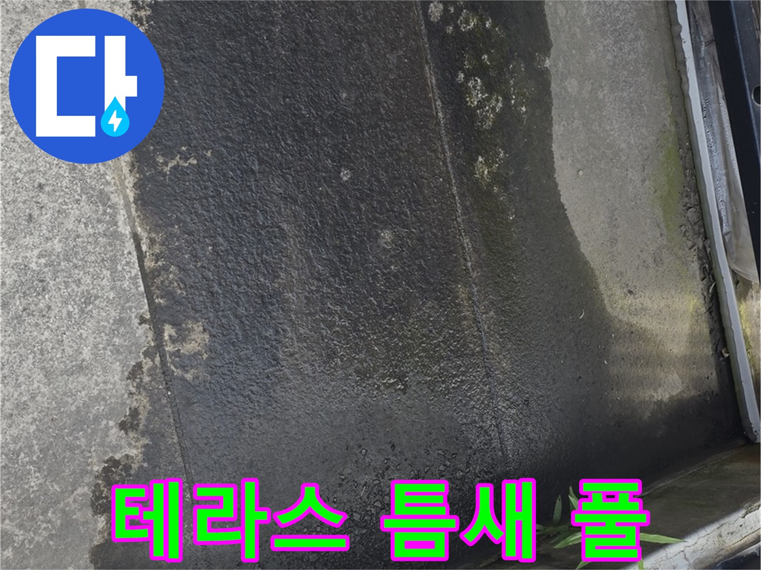 테라스 틈새의 풀 - 방수층 파괴의 시작