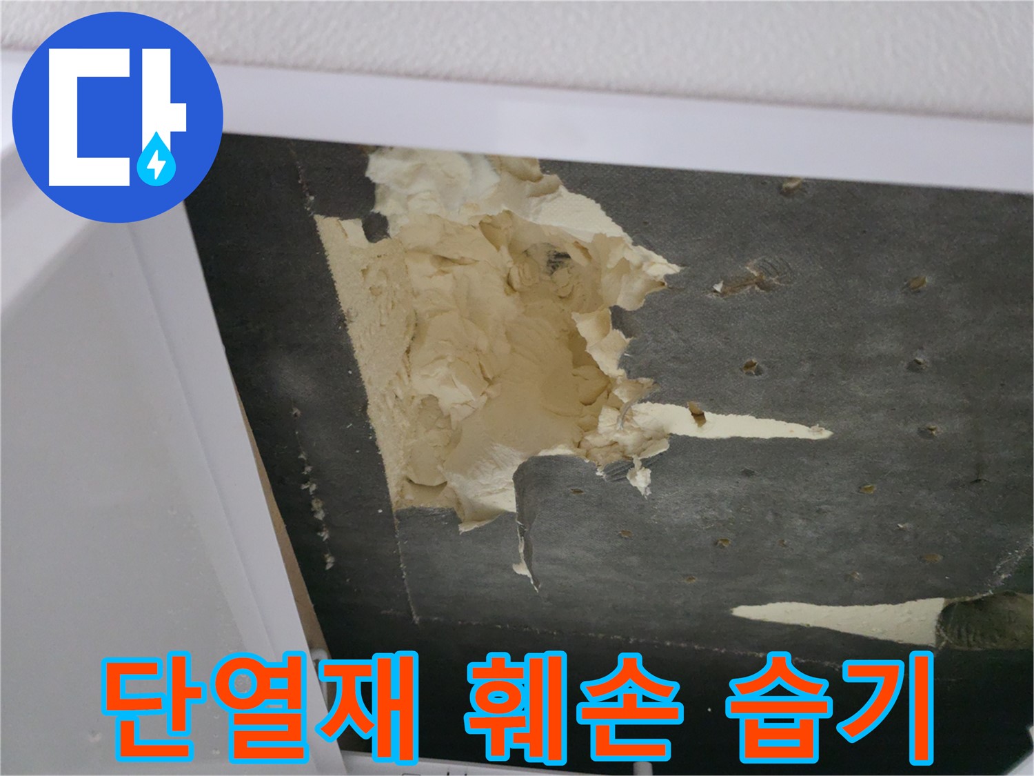 훼손된 단열재와 습기 - 곰팡이 발생 위험