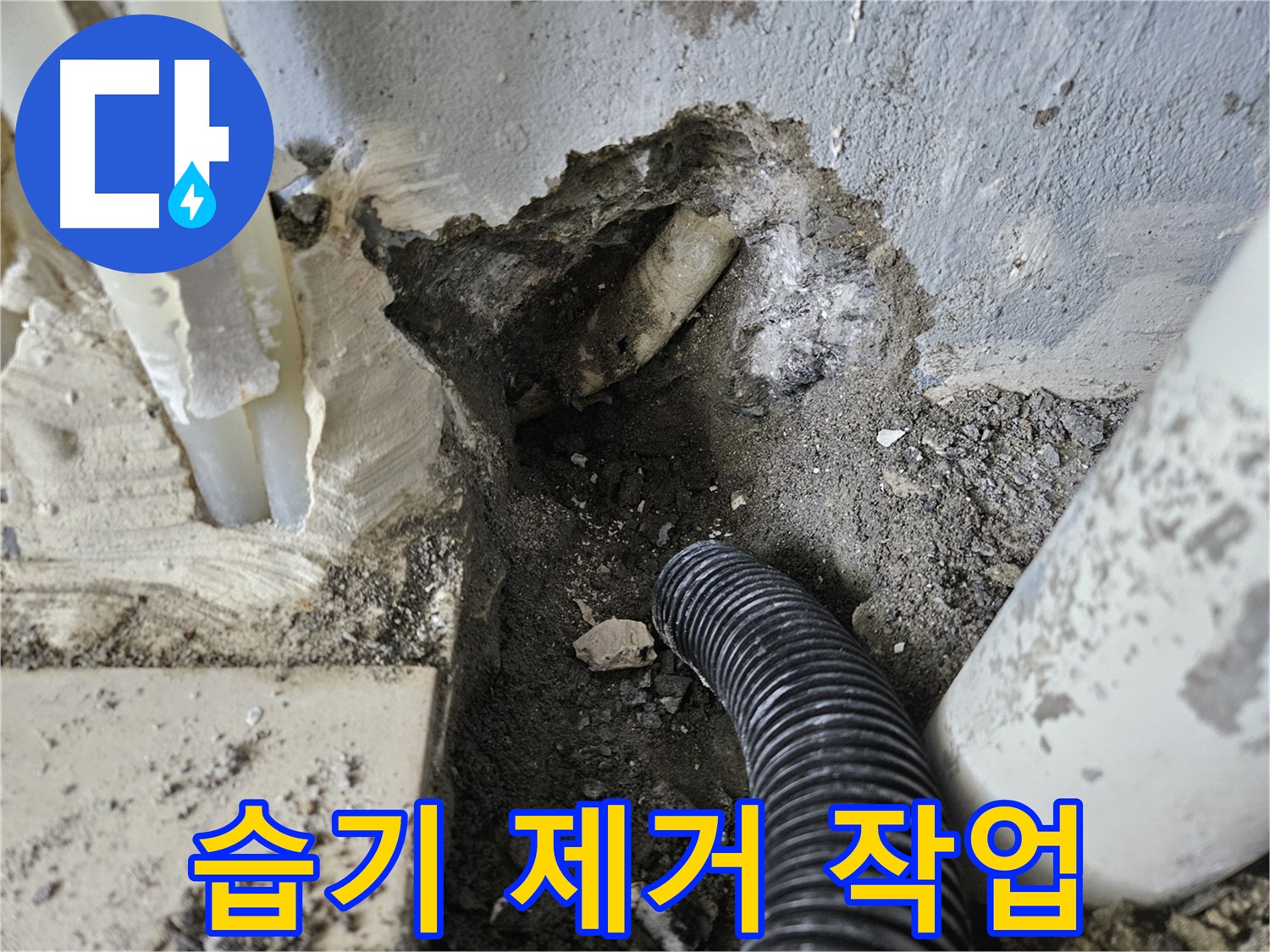 양평 용문면 어수리 고향마을 301동 누수 - 습기 제거를 위해 꼼꼼하게 작업하는 모습