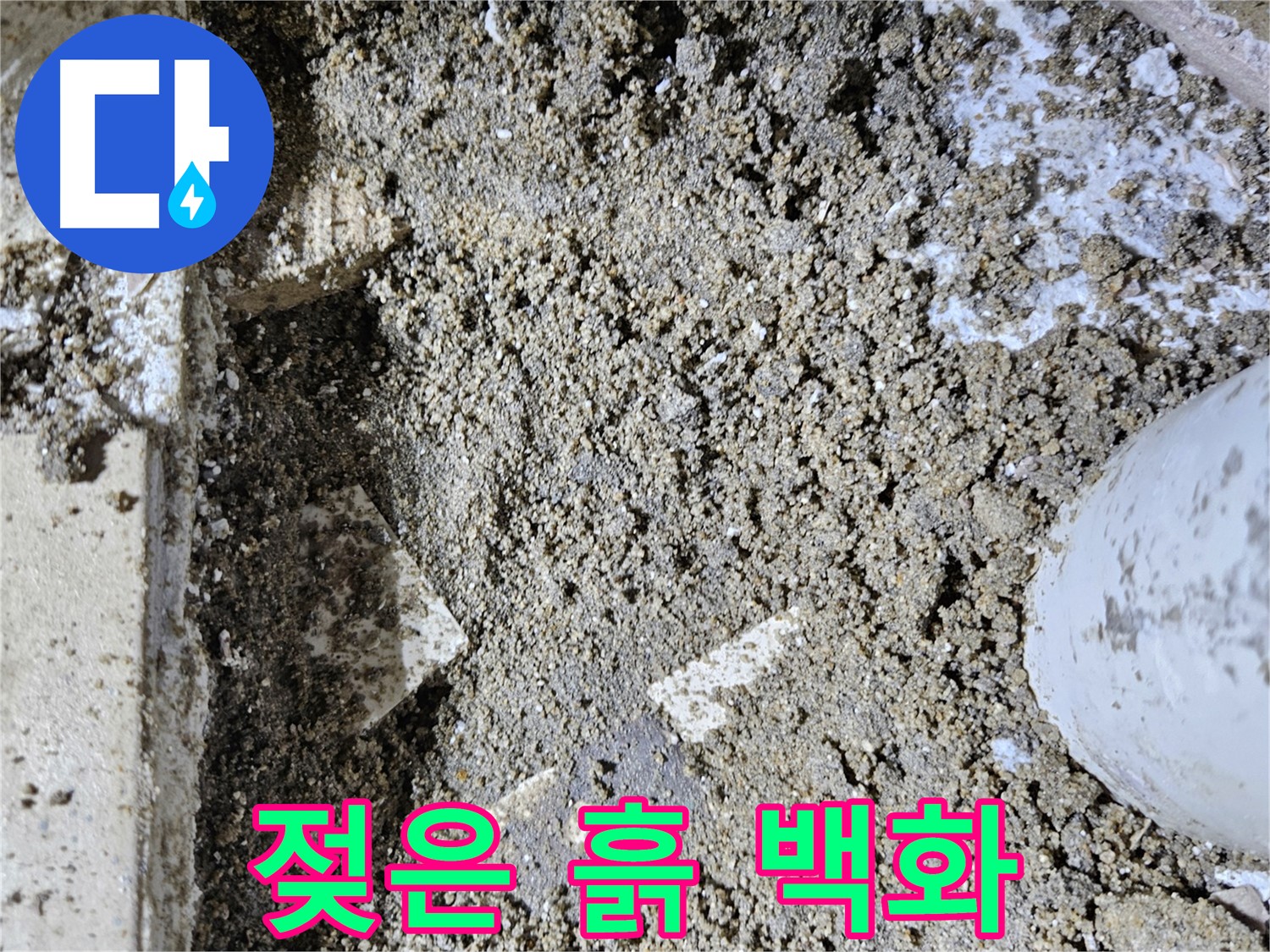 양평 용문면 어수리 누수 - 젖은 흙과 백화 현상 - 누수 진행