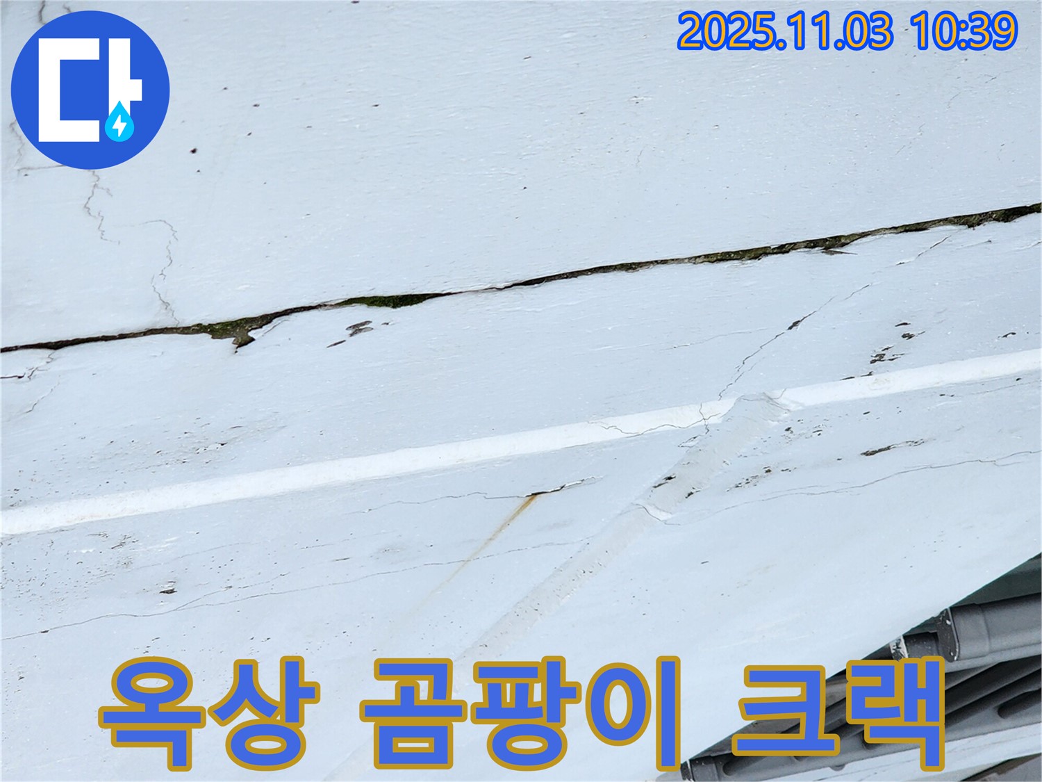 옥상 곰팡이와 크랙 - 옥상 누수로 인해 곰팡이가 발생했습니다.
