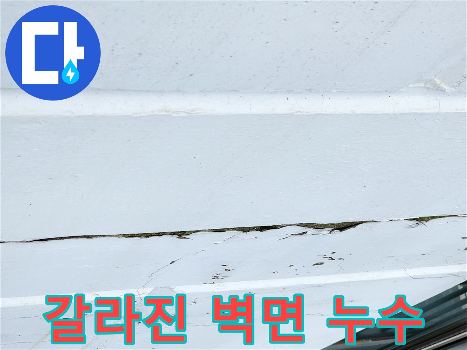 외부로 드러난 외벽 크랙과 물자국 - 현장 조사