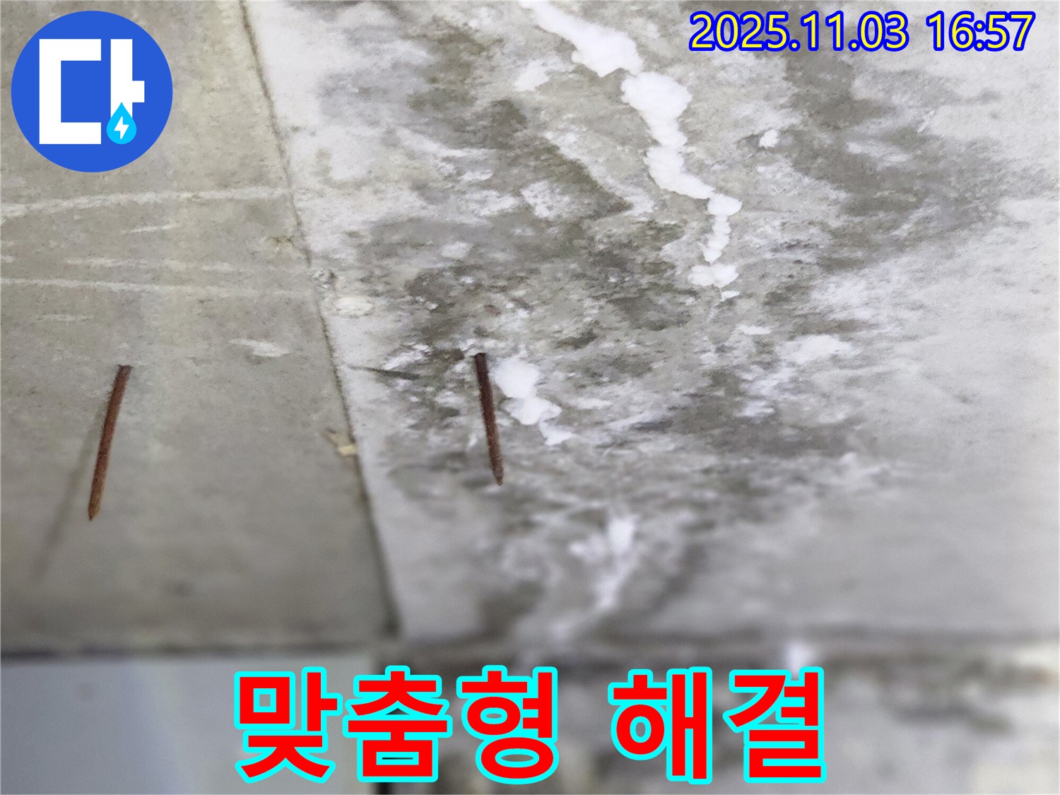 양주시 삼숭동 누수 현장 - 고객님의 상황에 맞는 최적의 맞춤 솔루션을 제공합니다 - 만족스러운 결과를 약속드립니다.