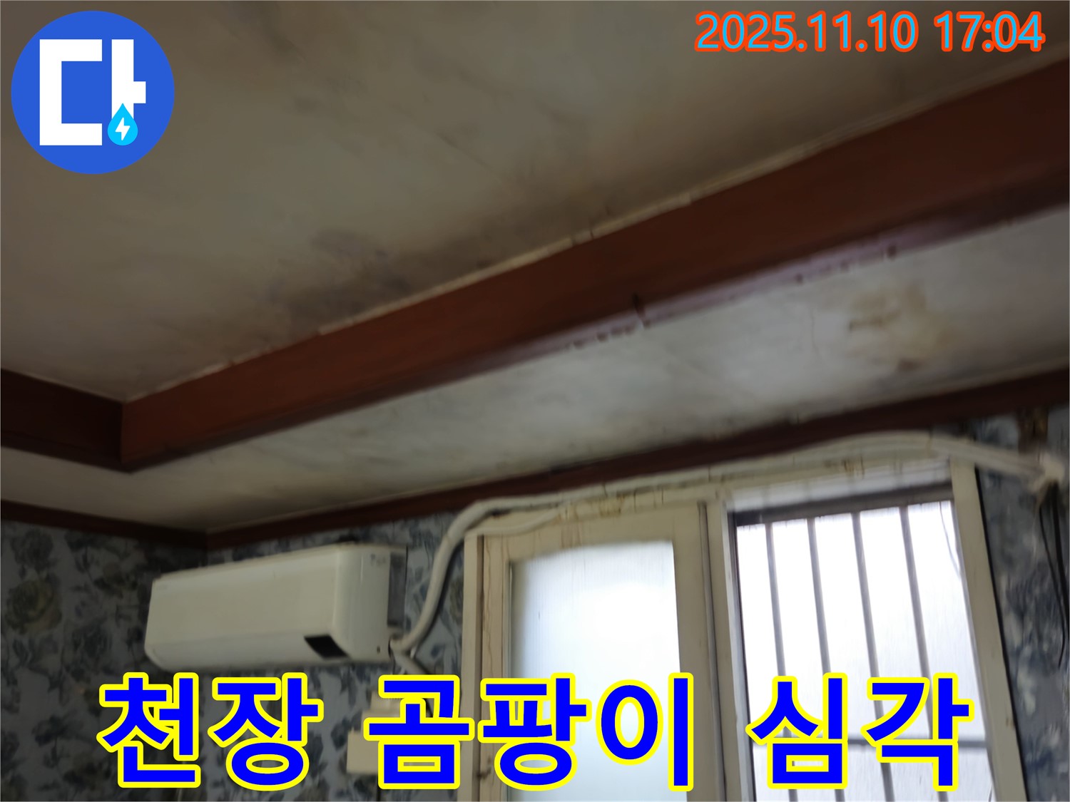 청파동 주택 누수 - 심각한 천장 곰팡이 상태