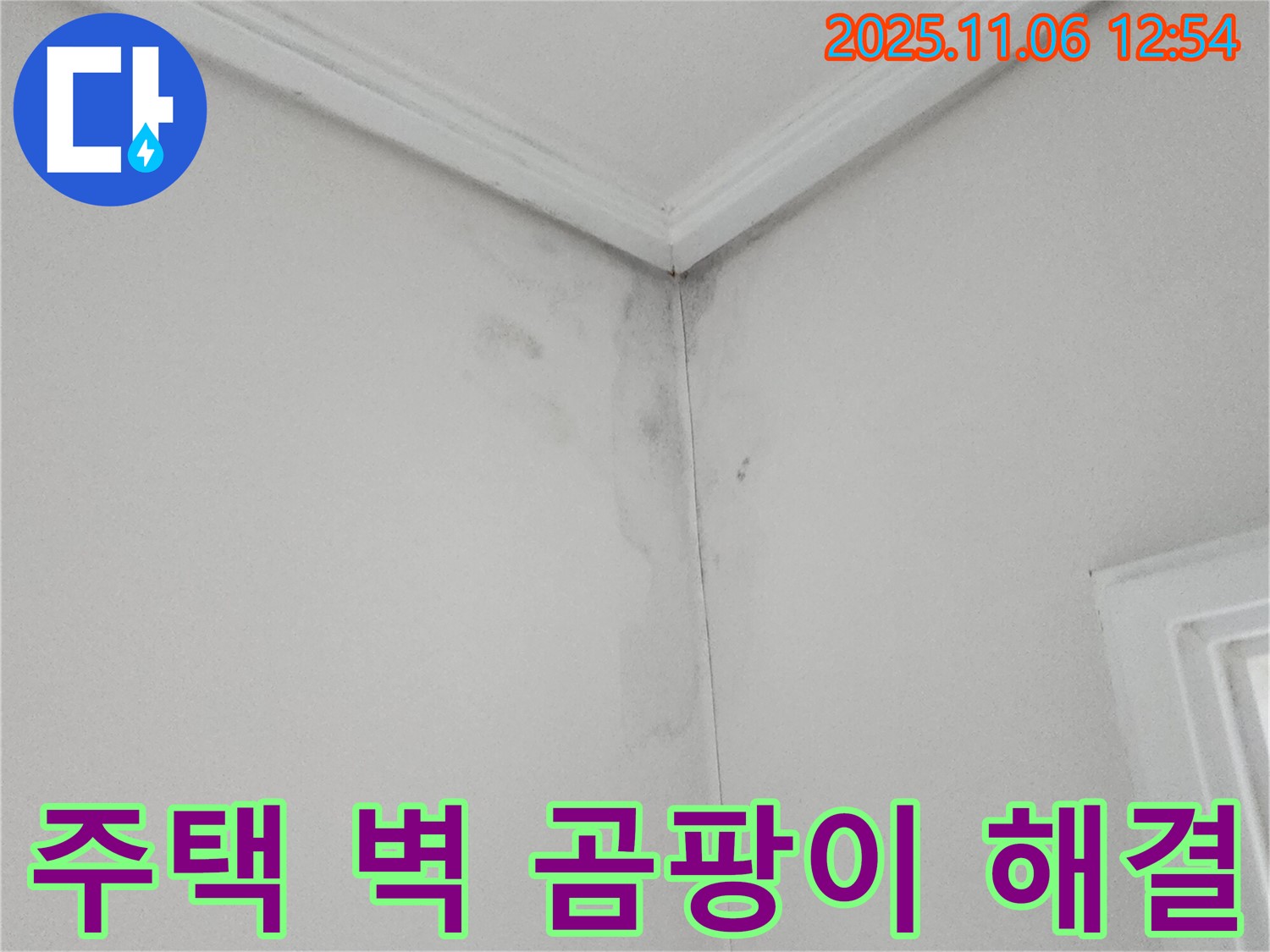 주택 벽 모서리 곰팡이 - 완벽한 누수 해결 및 곰팡이 제거