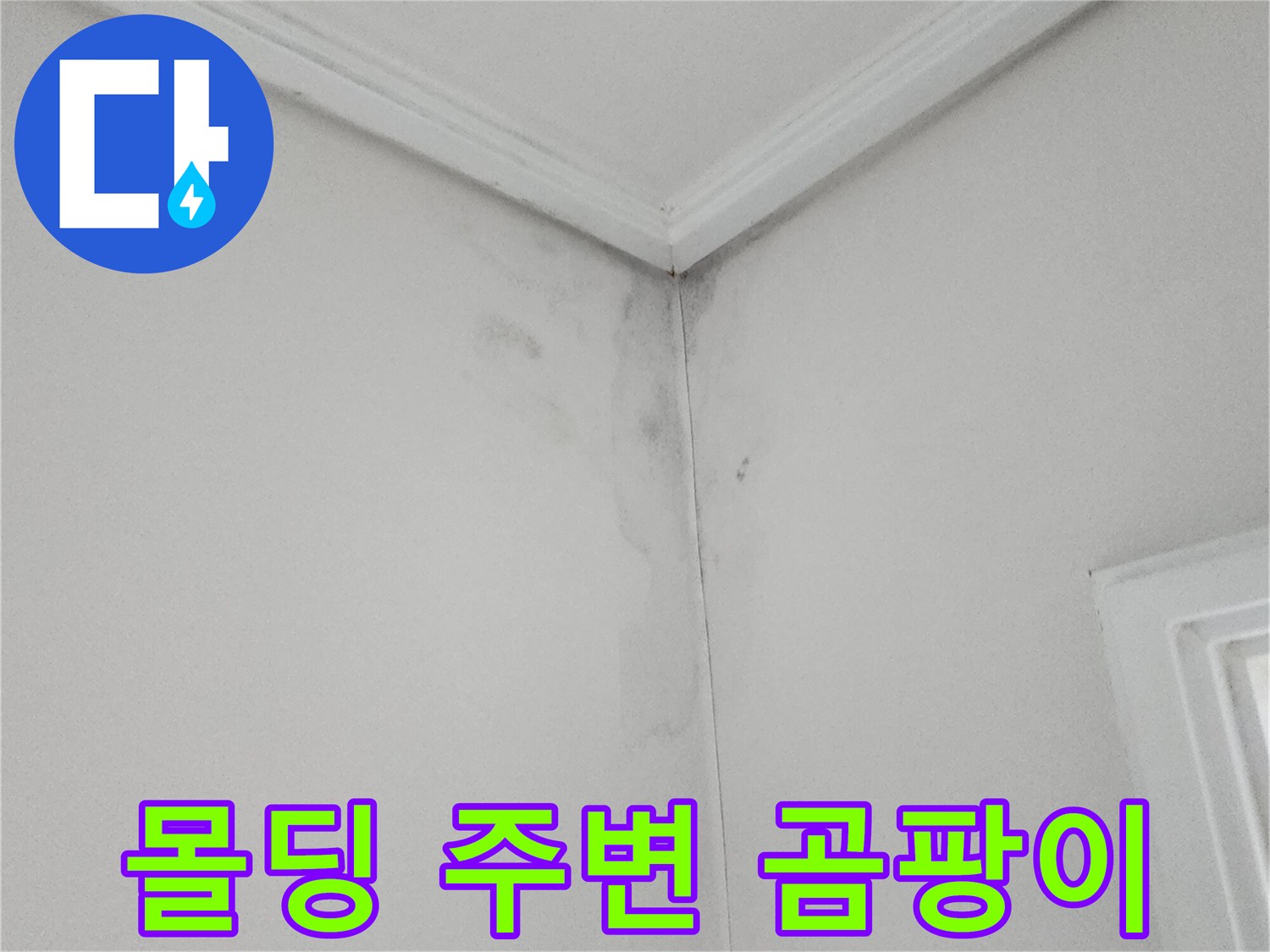 포천 소흘읍 현장-천장 몰딩과 벽면 사이의 곰팡이 발생