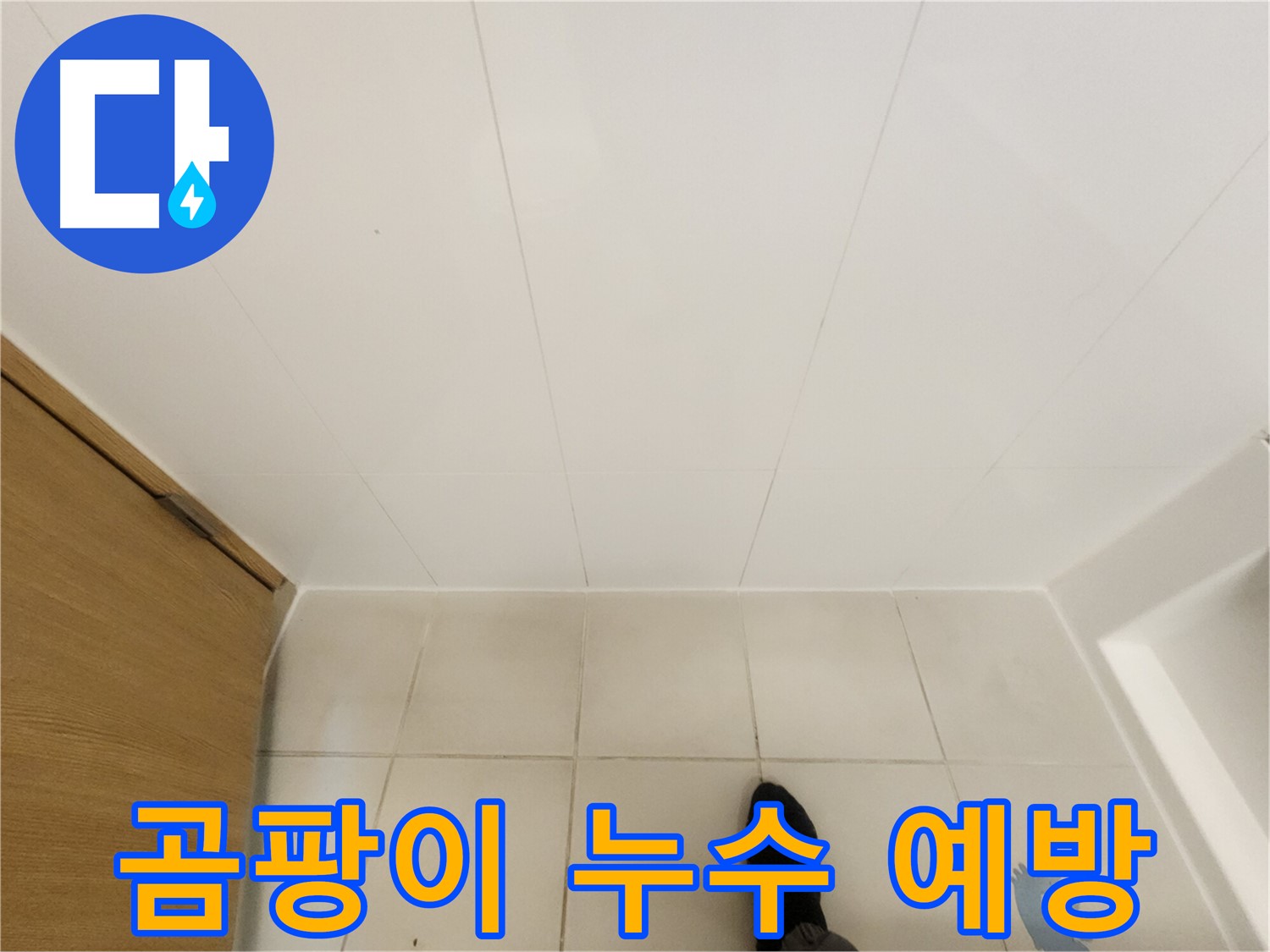 화장실 타일 틈새 - 곰팡이 예방을 위한 환기 중요성 강조
