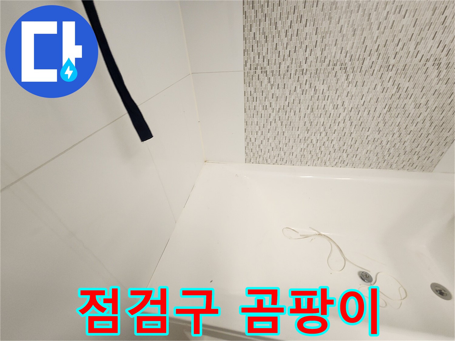 욕조 하부 점검구 - 곰팡이 발생 - 습기 누적 확인