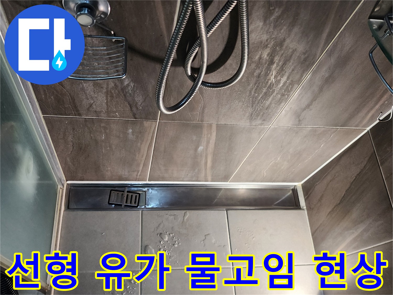 신곡동-샤워실-배수구-주변-물고임-및-습기-확인