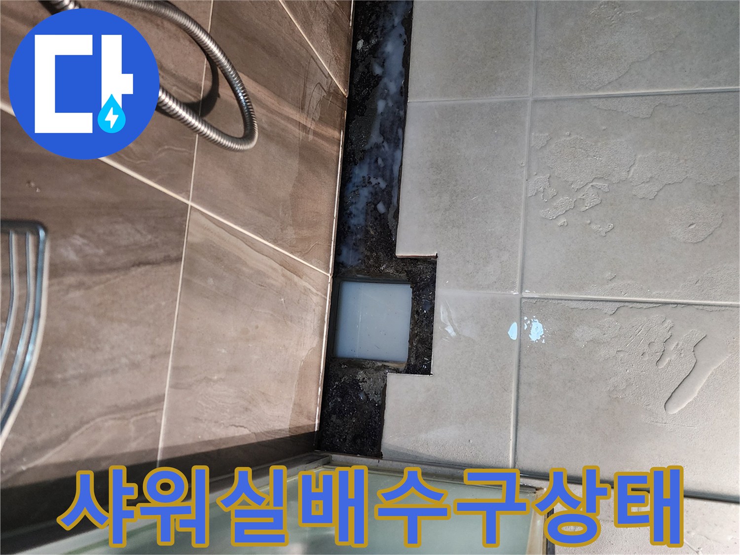의정부 신곡동-샤워실 배수구 주변 타일 틈새 확인
