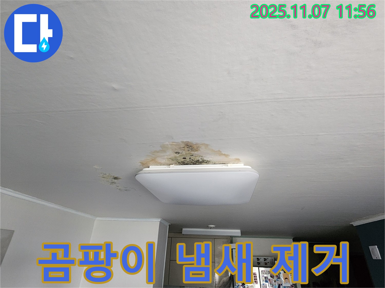의정부 송산1동 천장 누수 - 곰팡이 냄새 제거와 완벽한 천장 복구