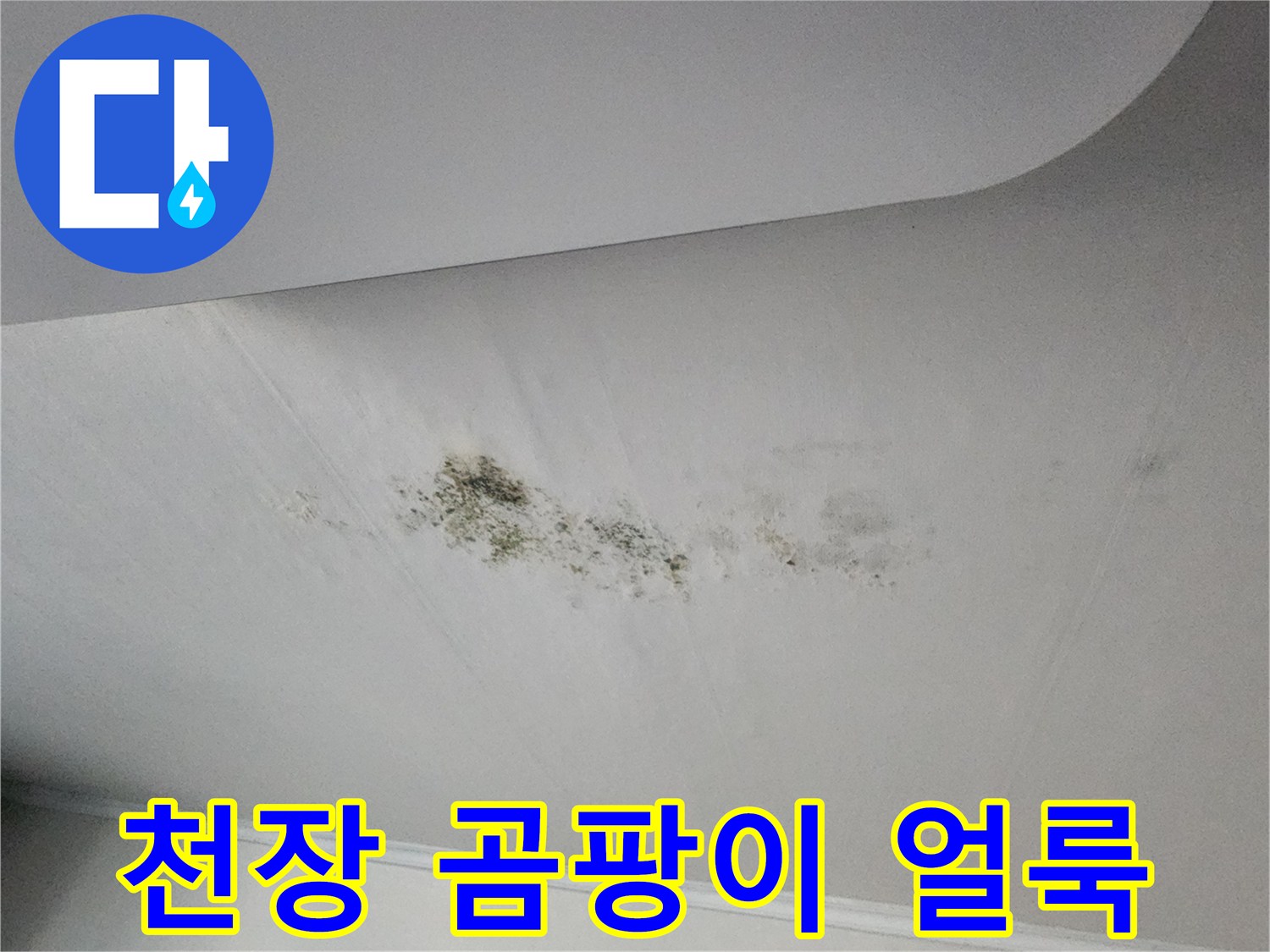 주방 천장 마감재 표면에 발생한 광범위한 곰팡이 및 습기 오염