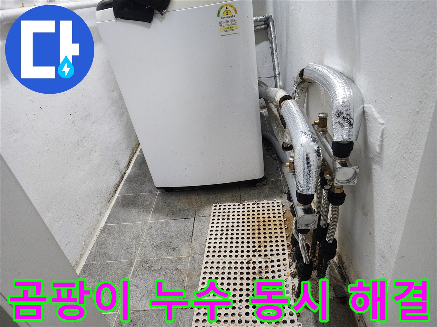 신월동 한일주택 세탁기 주변 - 곰팡이 및 누수 해결
