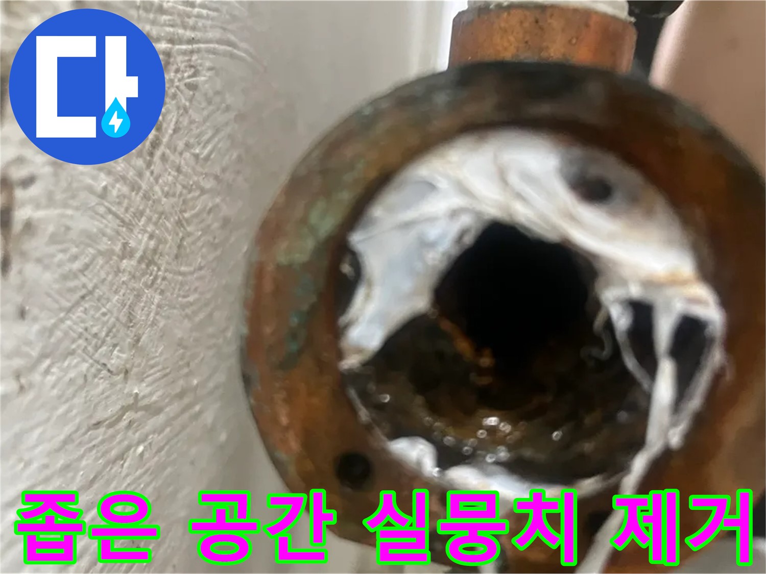 양천구 누수 해결 - 좁은 공간 하얀 실뭉치 제거 꼼꼼 시공