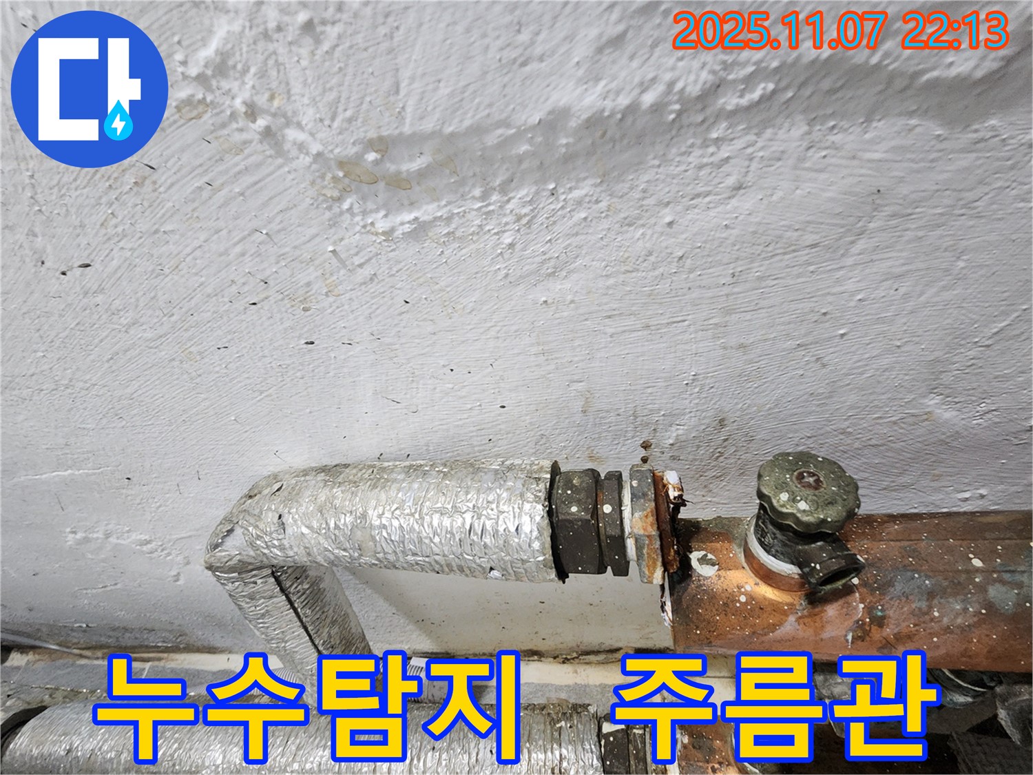 양천구 신월동 주택 누수탐지 - 노후된 주름관에서 발생한 누수를 정확하게 진단하고 신속하게 교체했습니다.