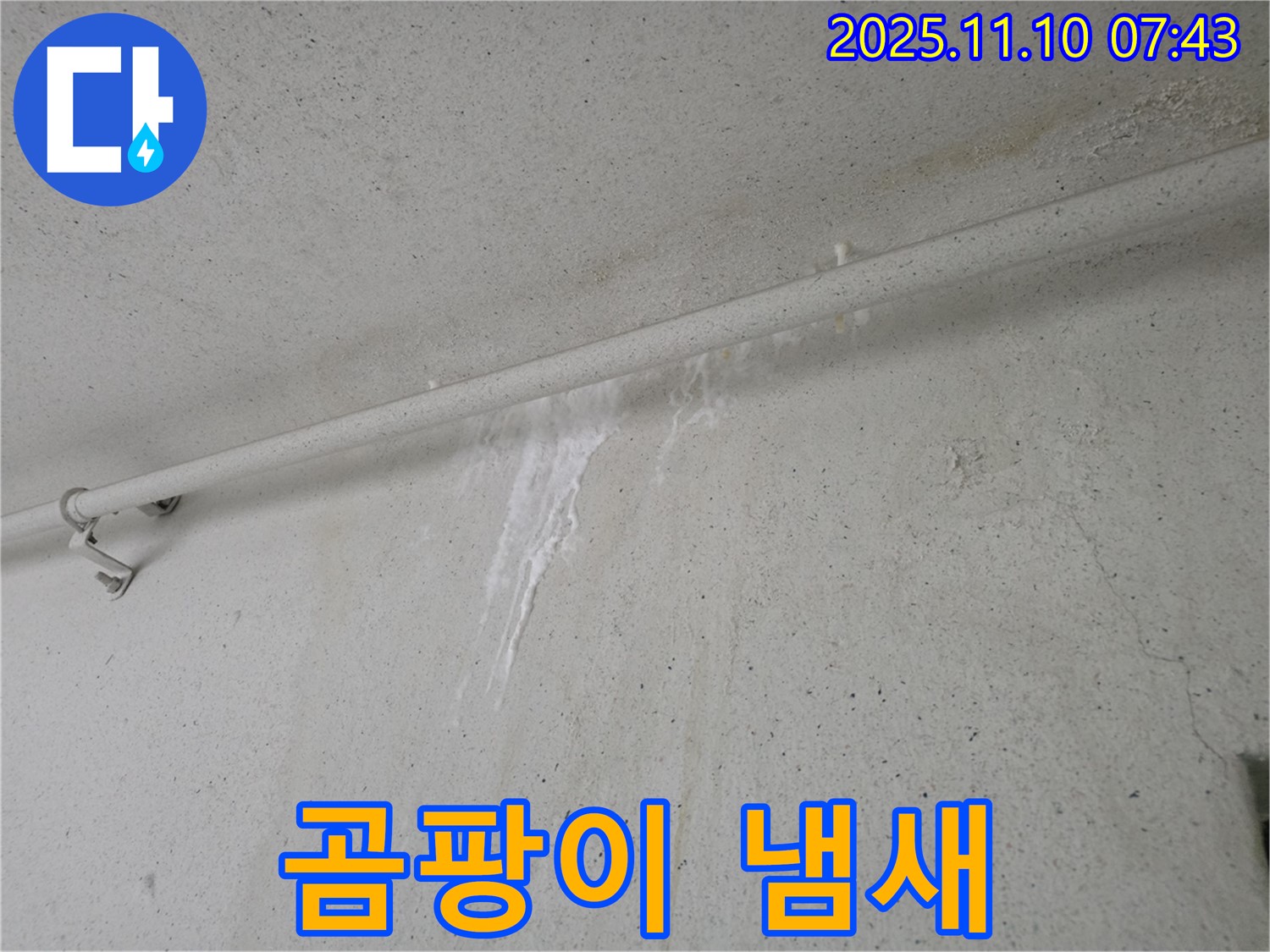곰팡이 냄새 확인 - 안양 만안구 양화로 초원맨션에서 누수탐지 전문가가 곰팡이 냄새를 맡고 누수와의 연관성을 조사하고 있습니다.
