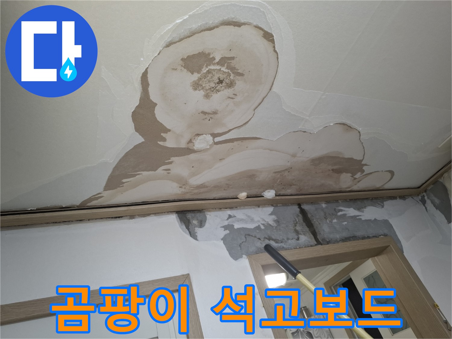 곰팡이 핀 석고보드 - 무너질라, 안전 진단 필수!
