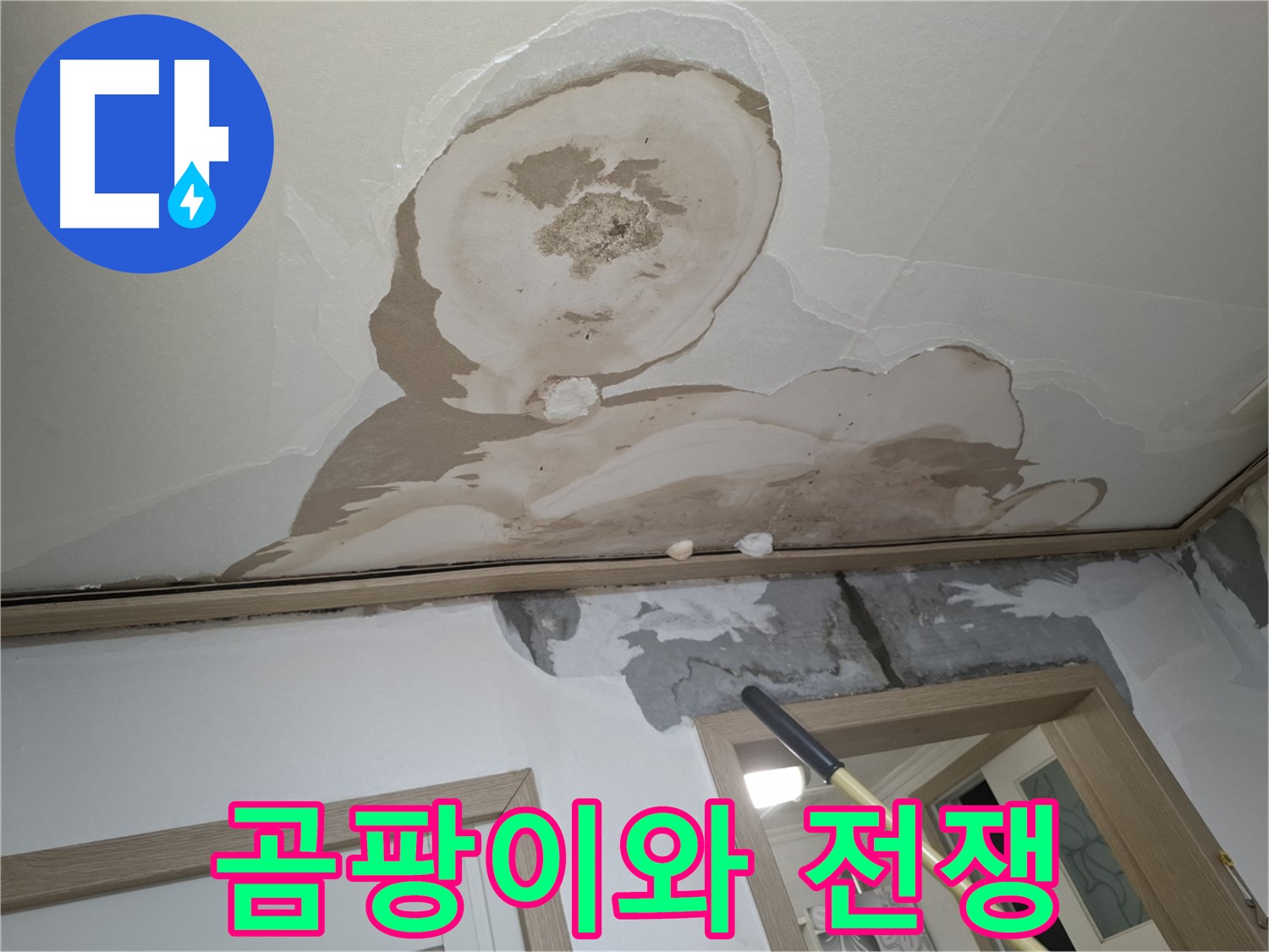 곰팡이와 전쟁 선포 - 쾌적한 공간, 우리가 책임진다!