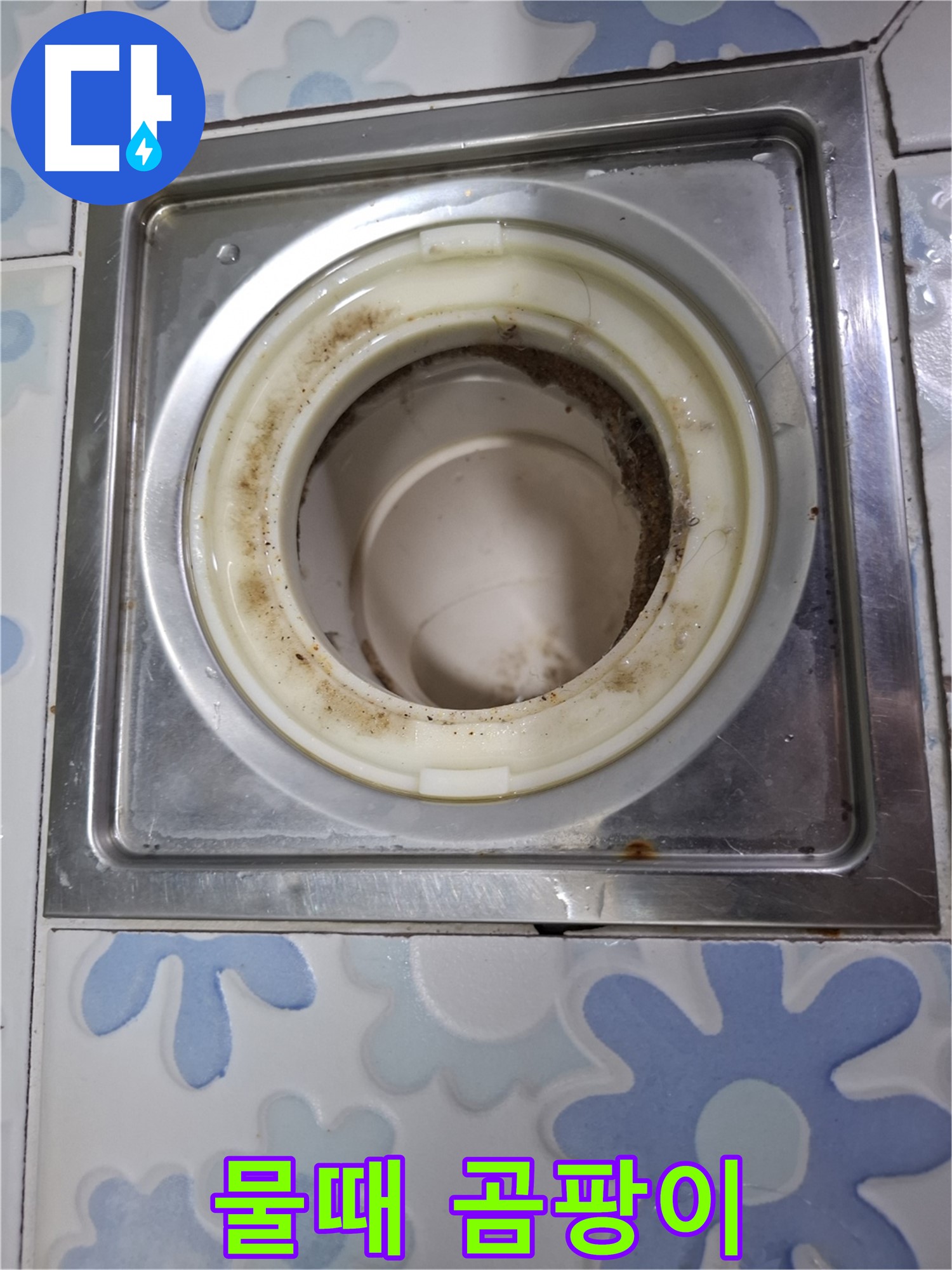 욕실 배수구 물때와 곰팡이 - 누수 위험