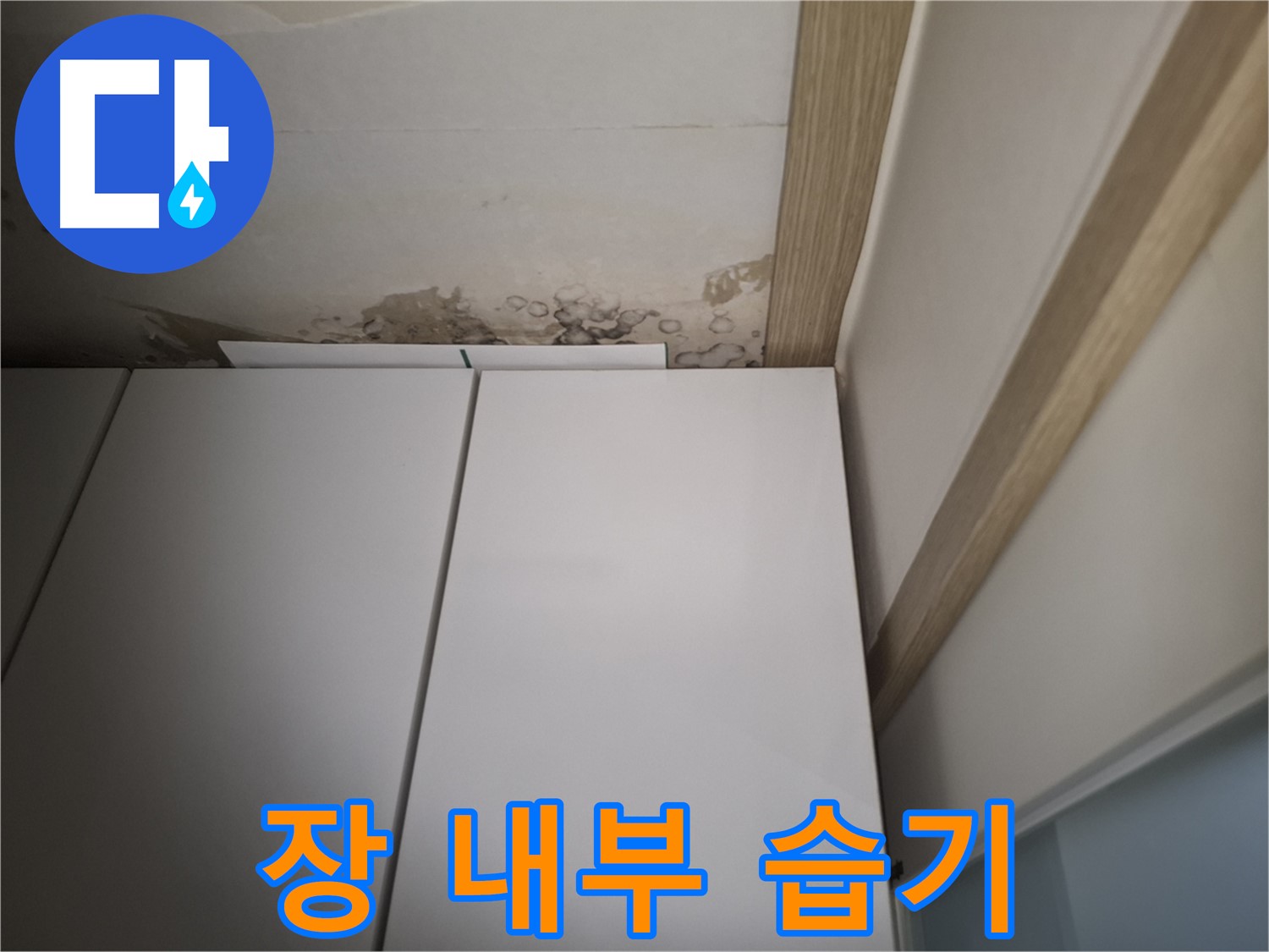 장 내부에 습기가 찬 모습 - 천장 누수가 원인일 수 있습니다.