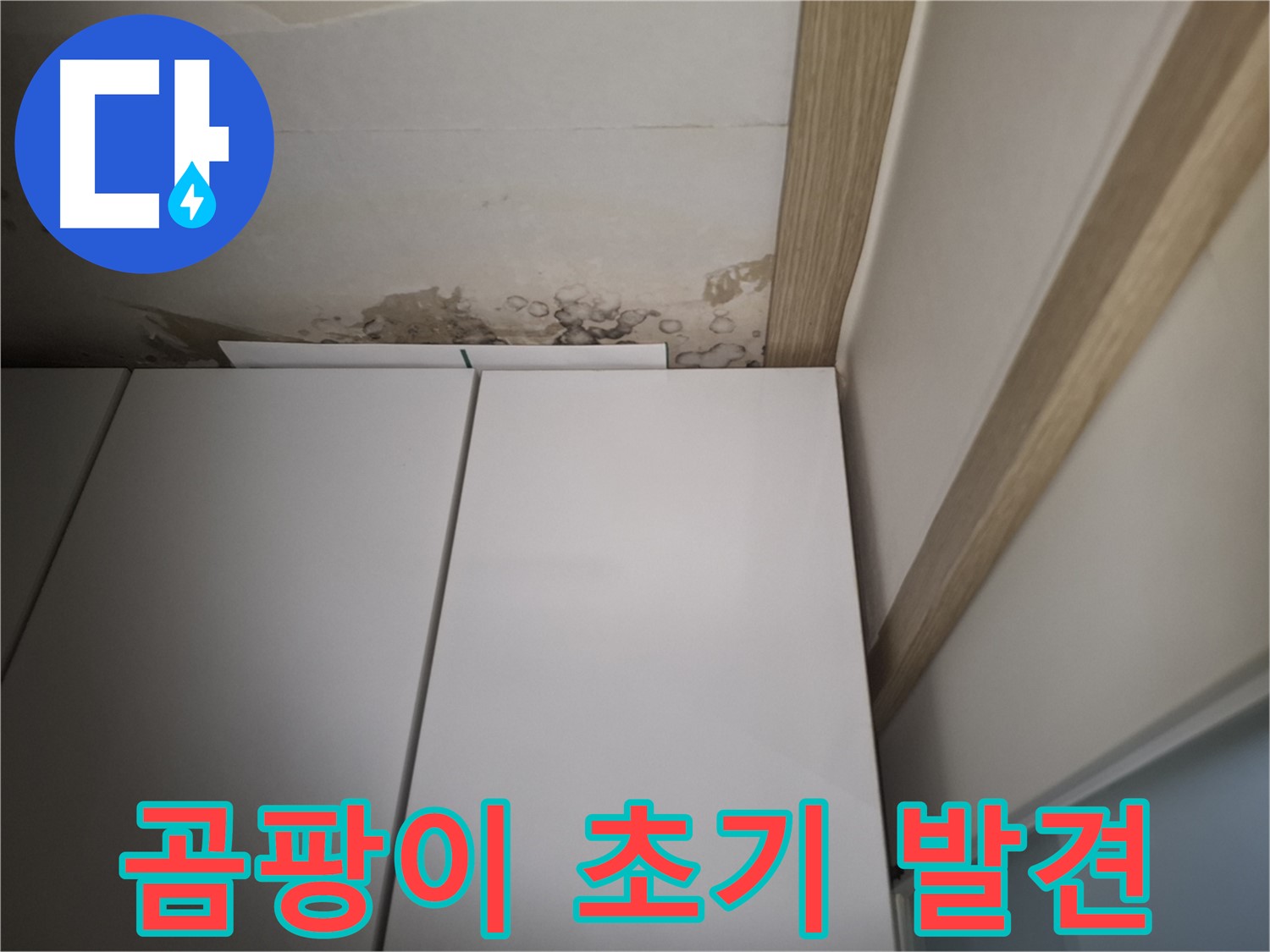 장롱 위 천장에 곰팡이가 막 피기 시작한 모습 - 초기 대응이 중요합니다.