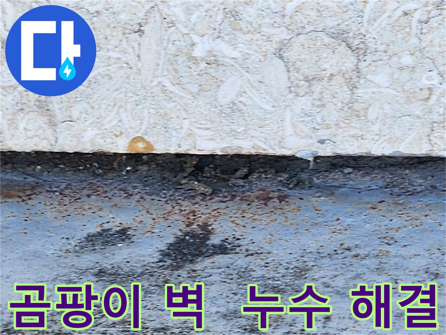 구천면로 누수공사 - 곰팡이 핀 벽, 누수 문제 확실하게 해결
