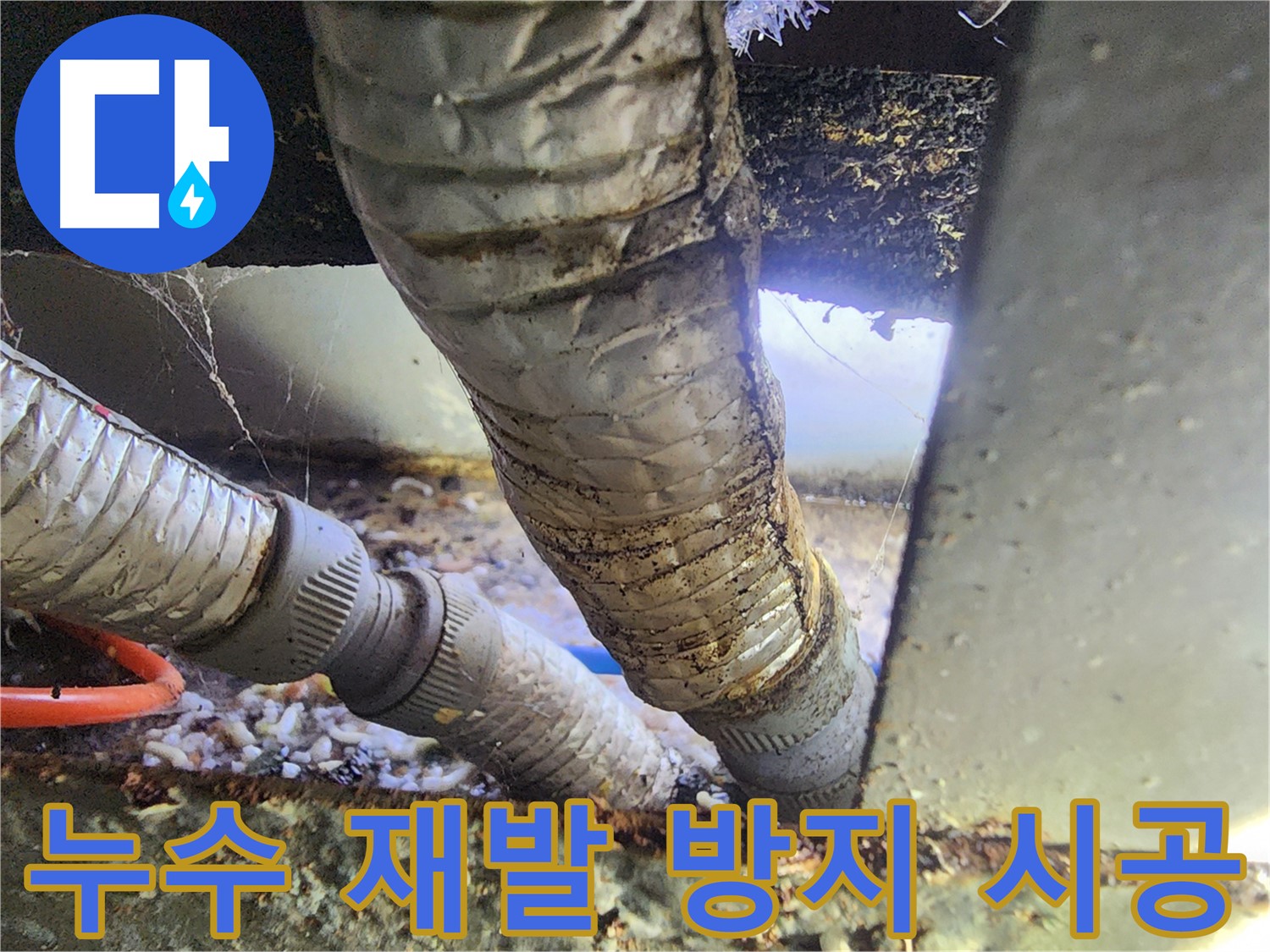 안산 푸르지오 아파트 천장 누수 - 꼼꼼한 재발 방지 시공