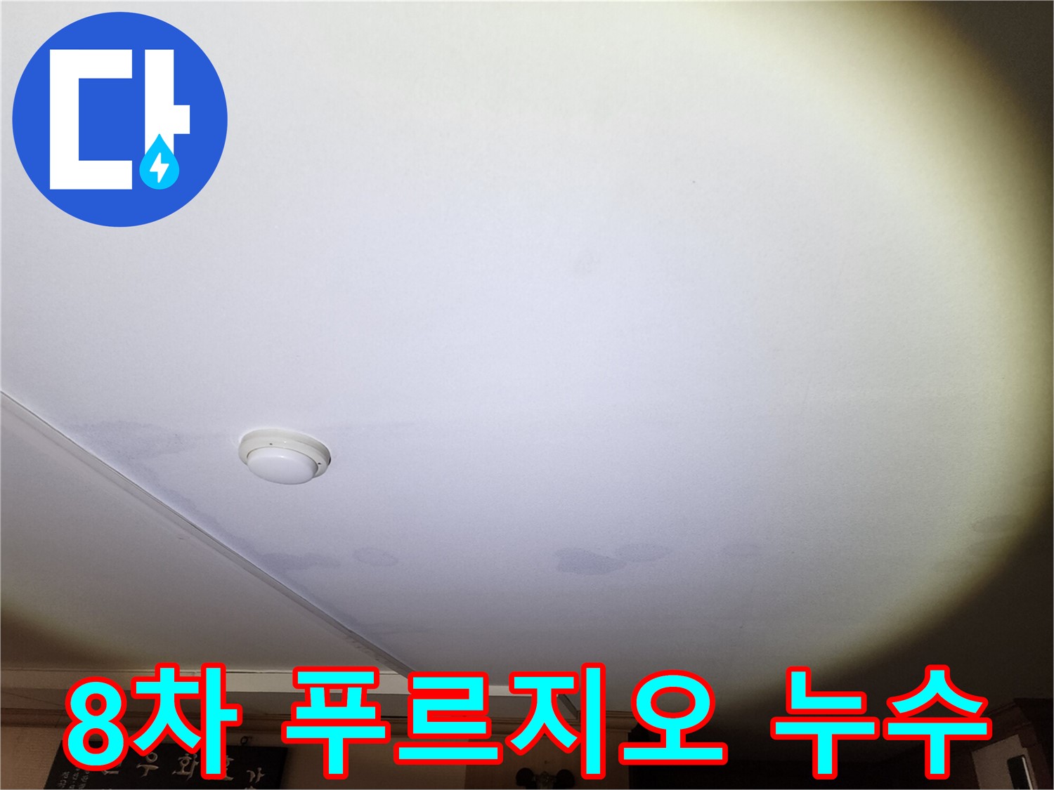 천장에 생긴 누수 자국 - 안산 8차 푸르지오 누수 문제 해결을 위한 전문가의 방문